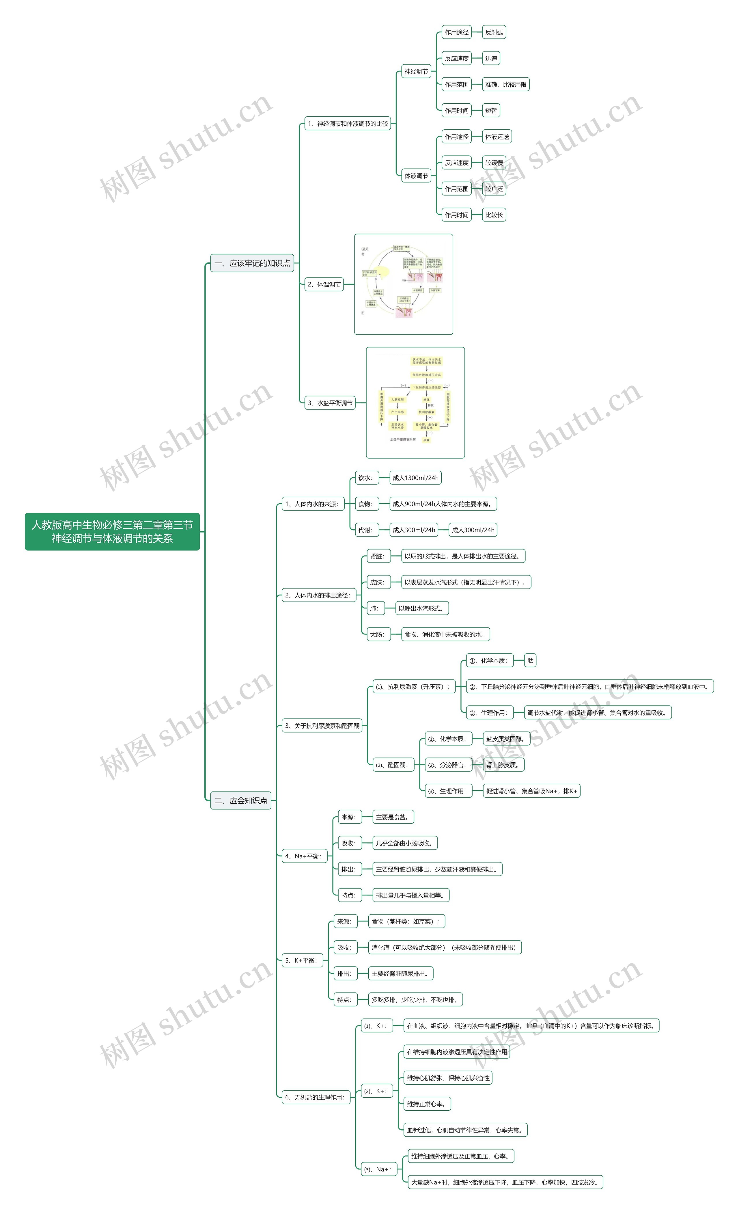 人教版高中生物必修三第二章第三节神经调节与体液调节的关系思维导图