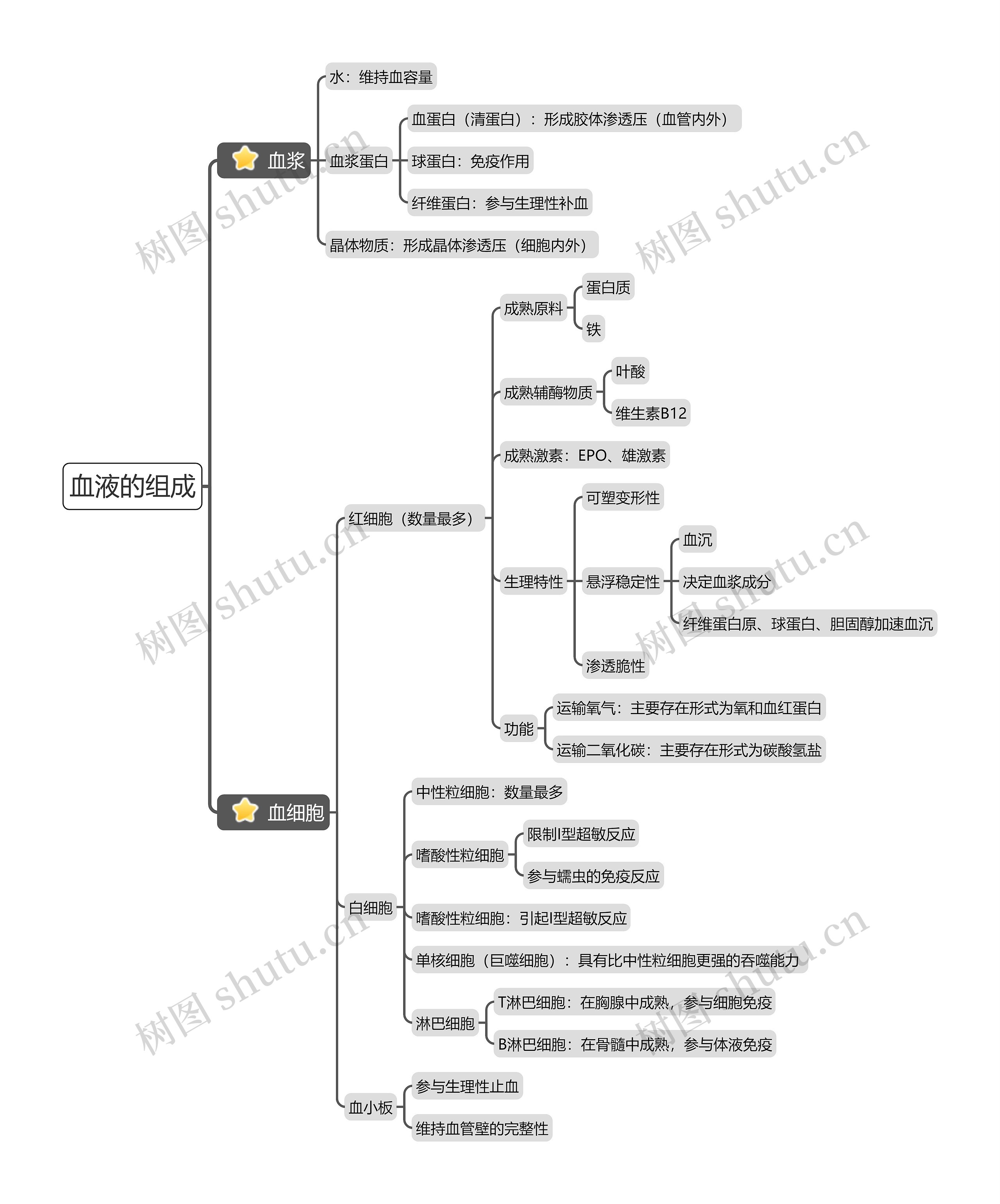 《血液的组成》思维导图