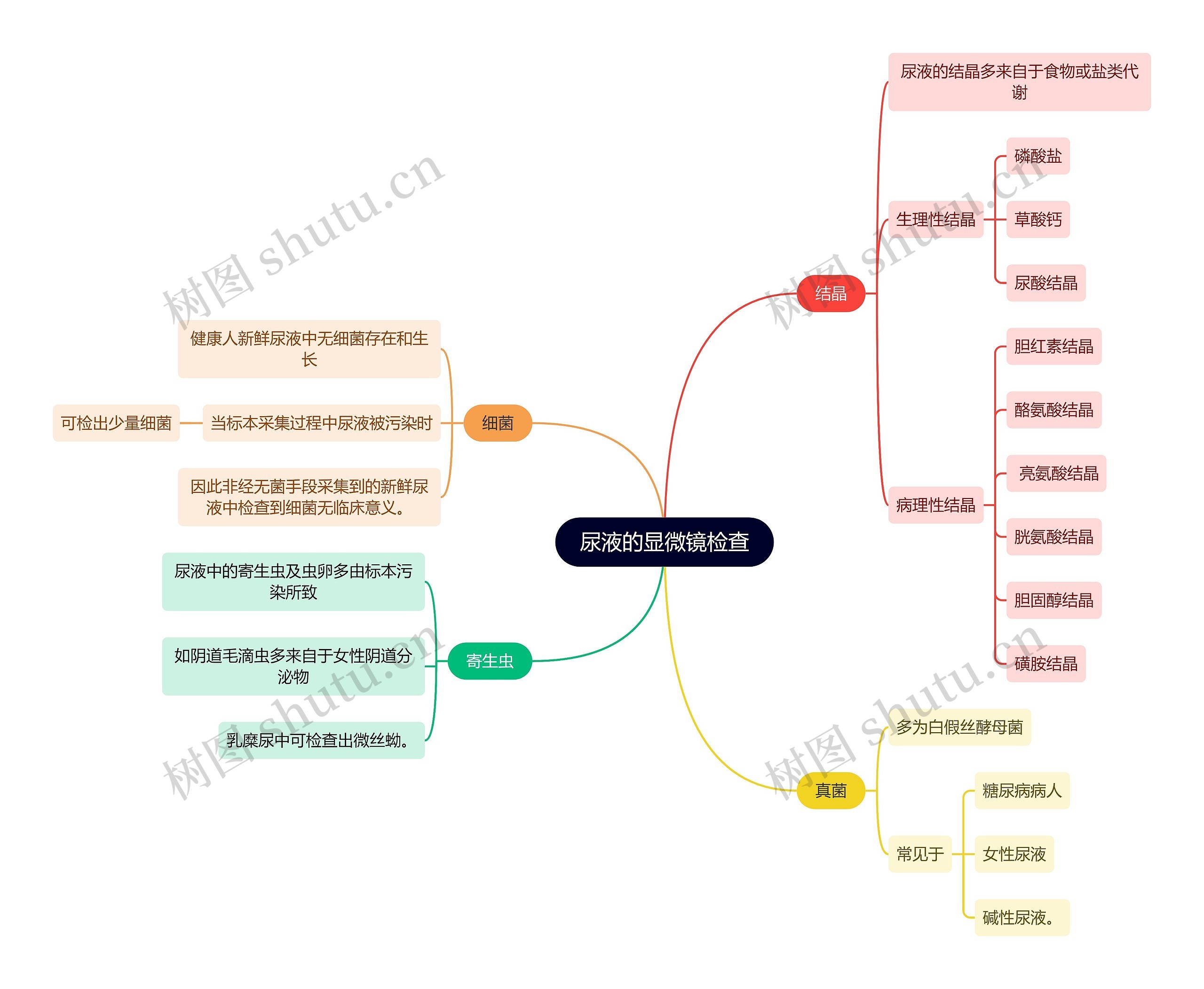 医学知识尿液的显微镜检查思维导图