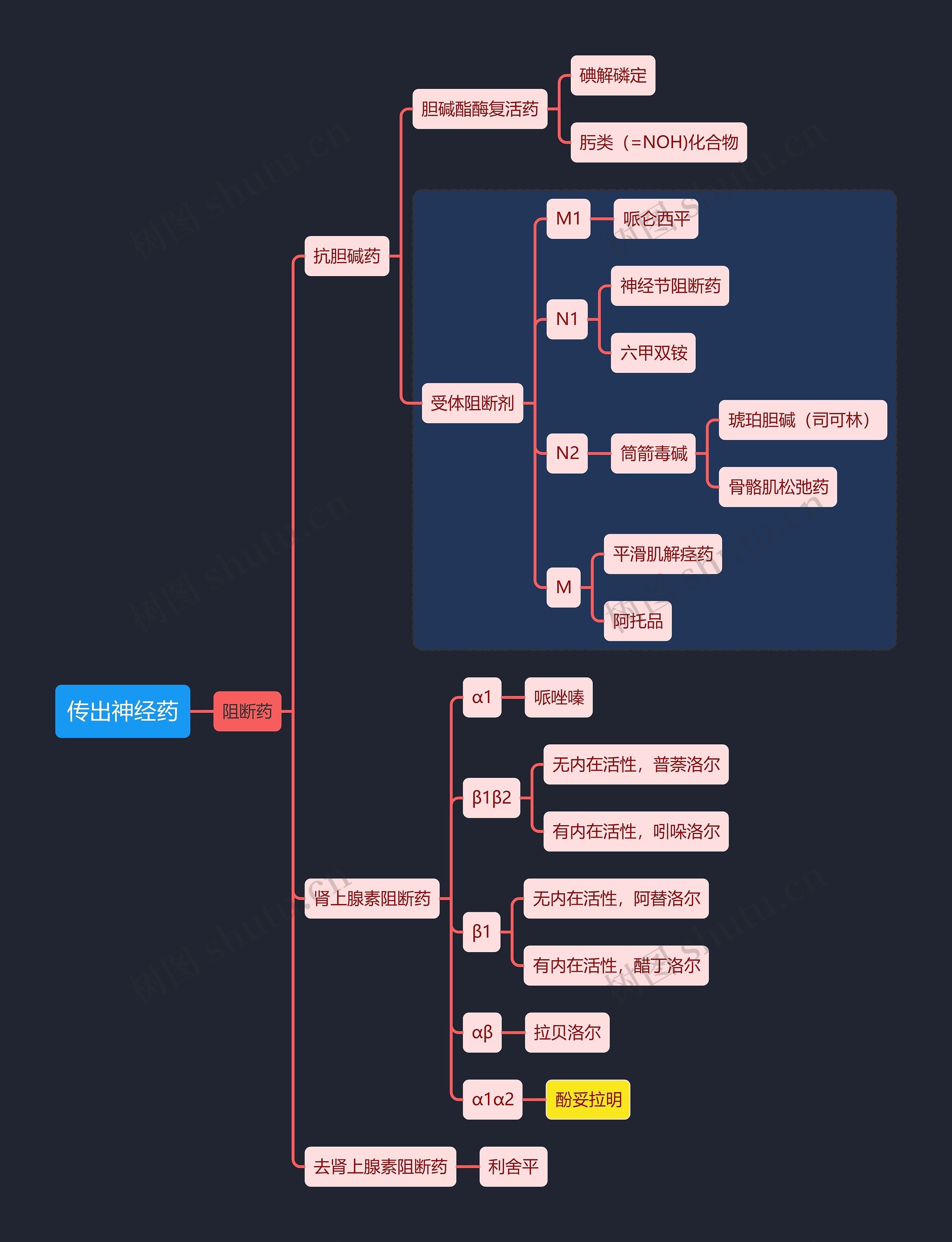传出神经药阻断药思维导图