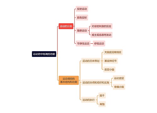 医学知识运动的中枢调控功能思维导图