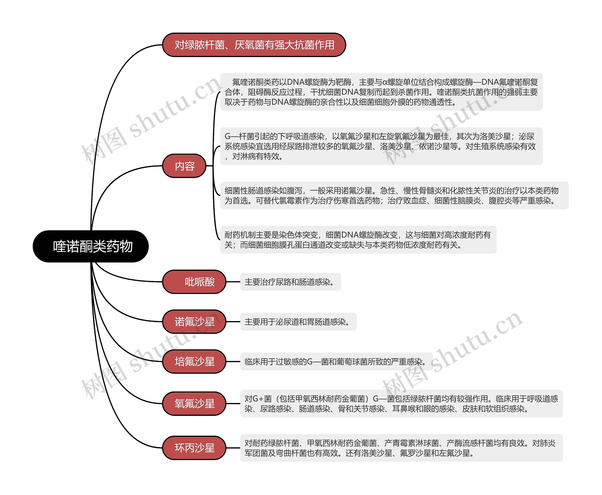  喹诺酮类药物的思维导图