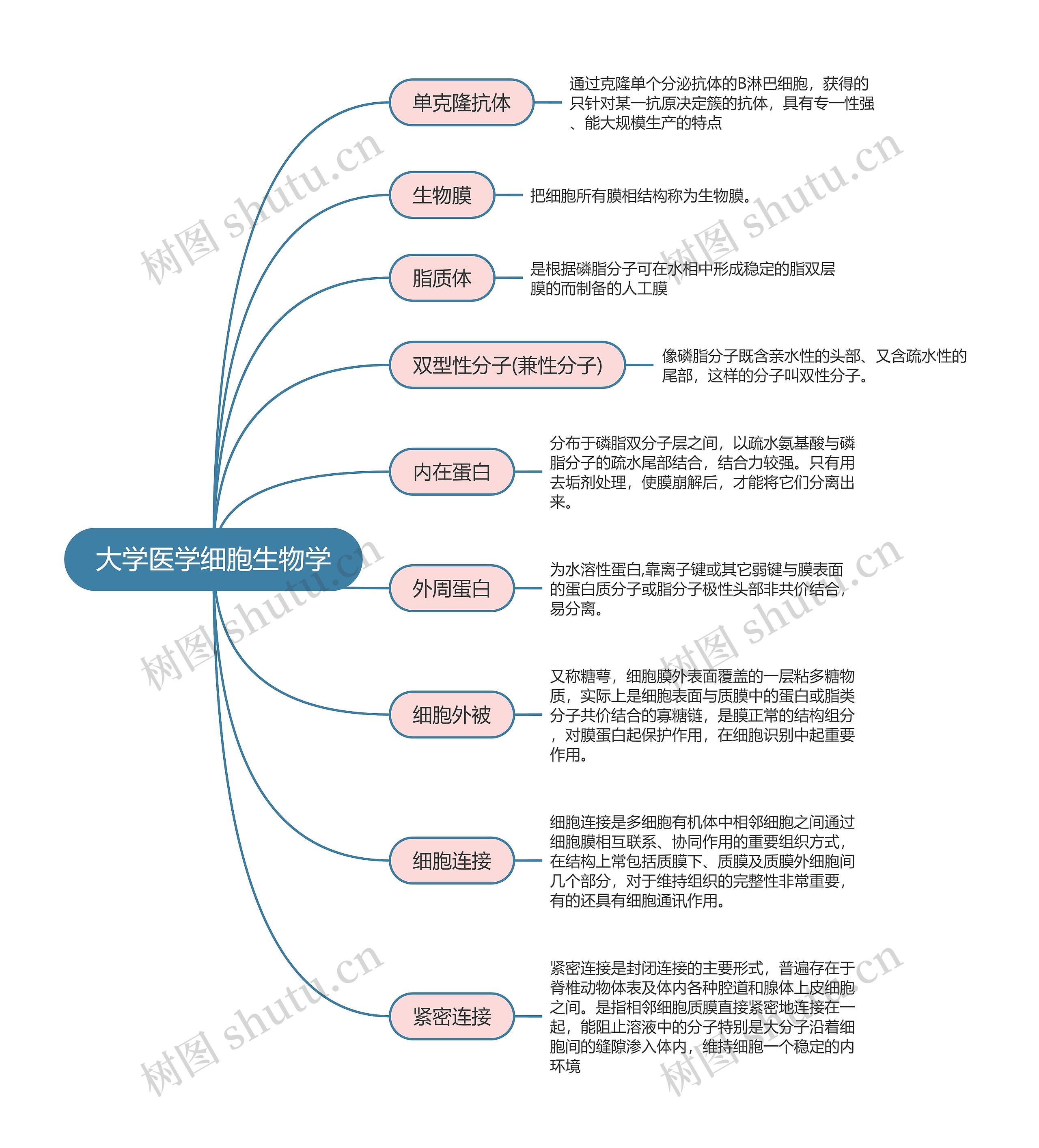 大学医学细胞生物学思维导图