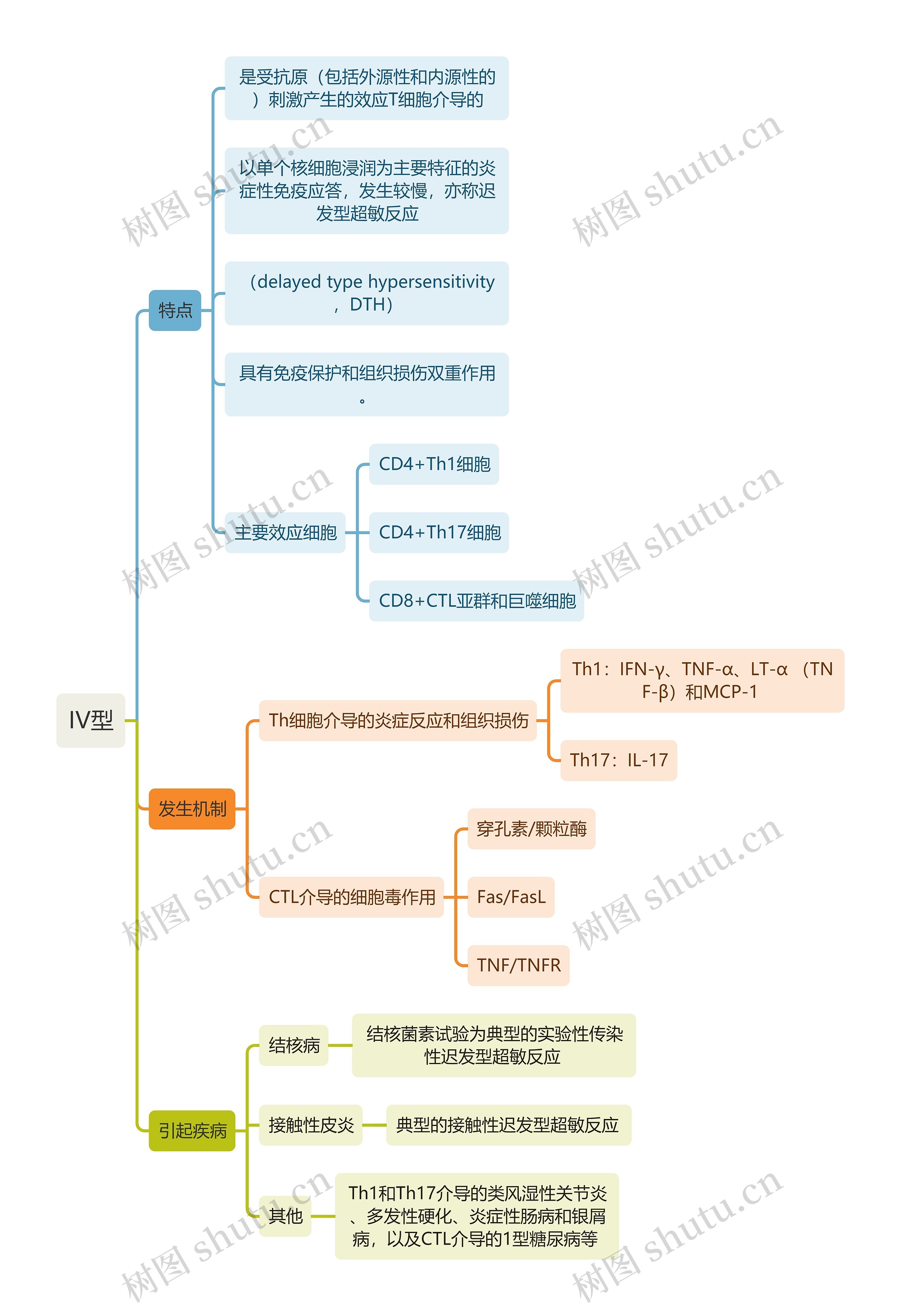 医学知识IV型思维导图