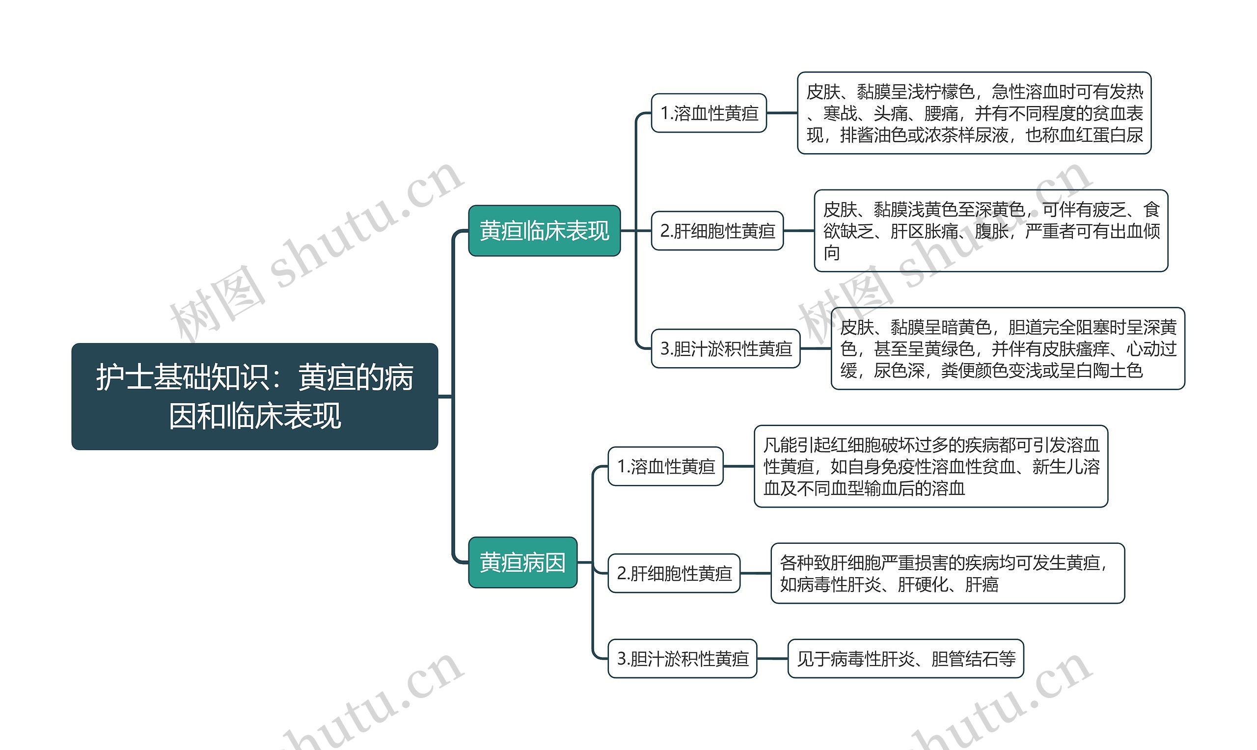 护士基础知识：黄疸的病因和临床表现