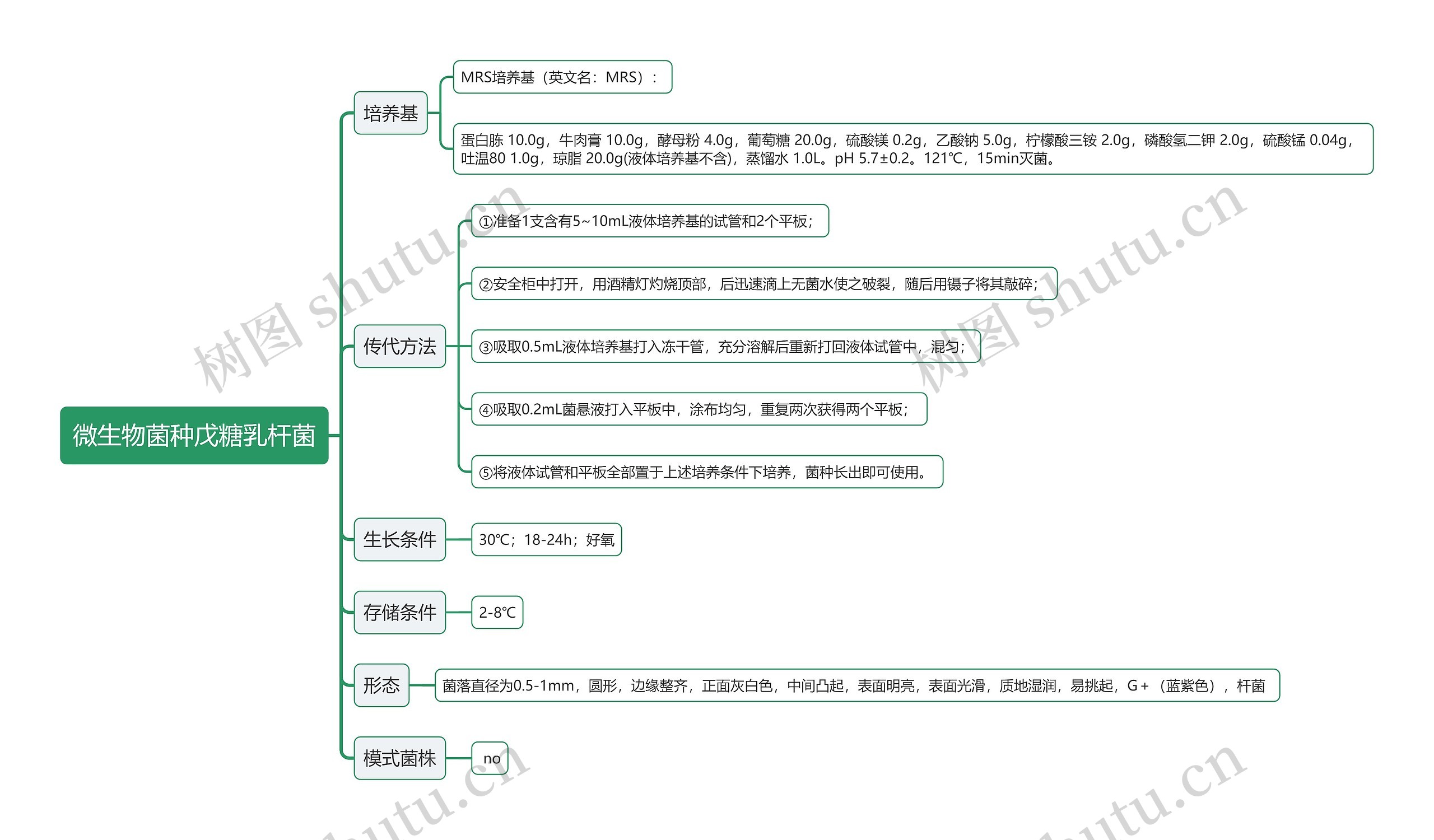 微生物菌种戊糖乳杆菌思维导图