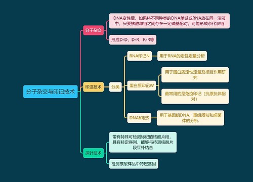 医学知识分子杂交与印记技术思维导图