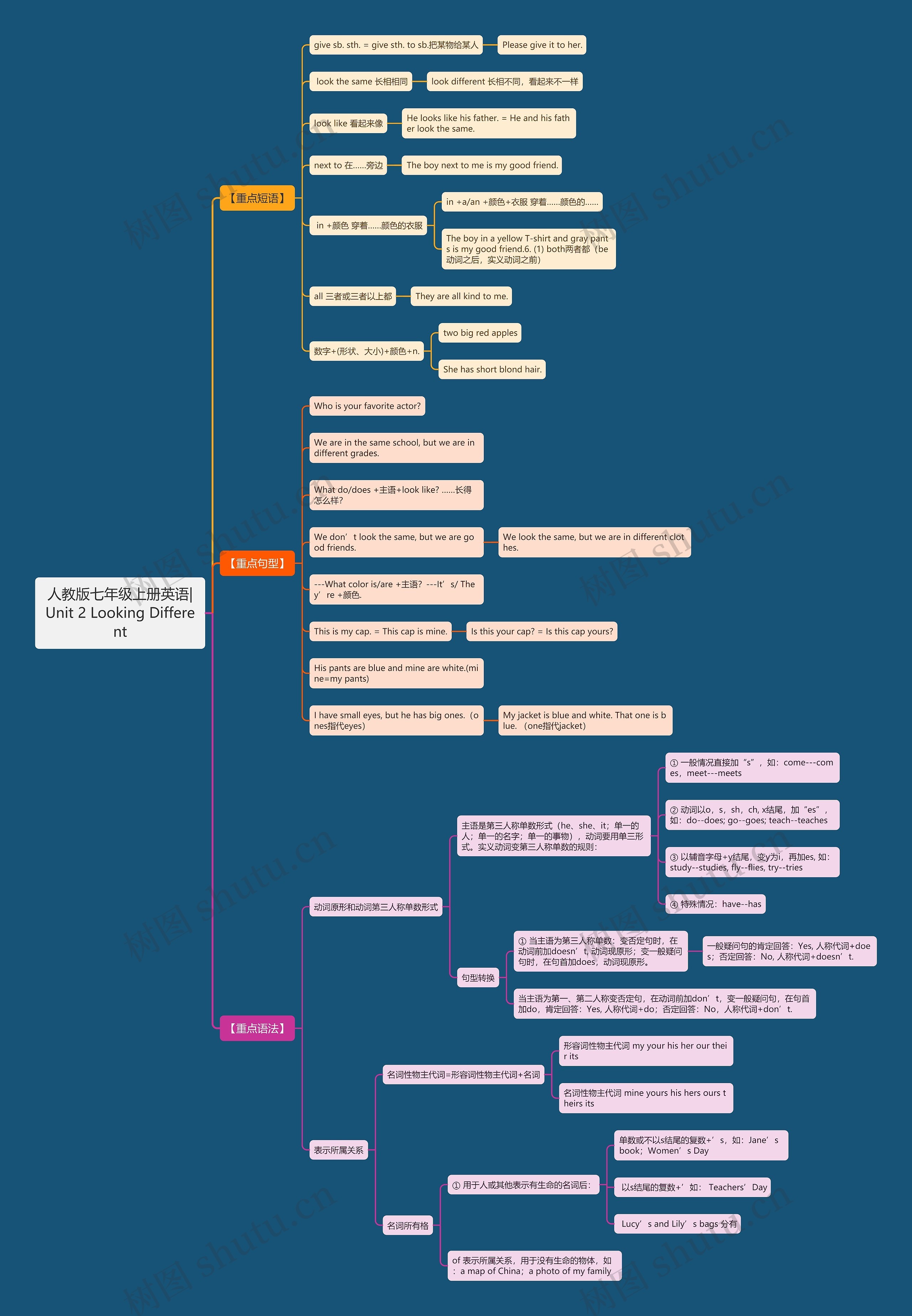 人教版七年级上册英语|Unit 2 Looking Different思维导图