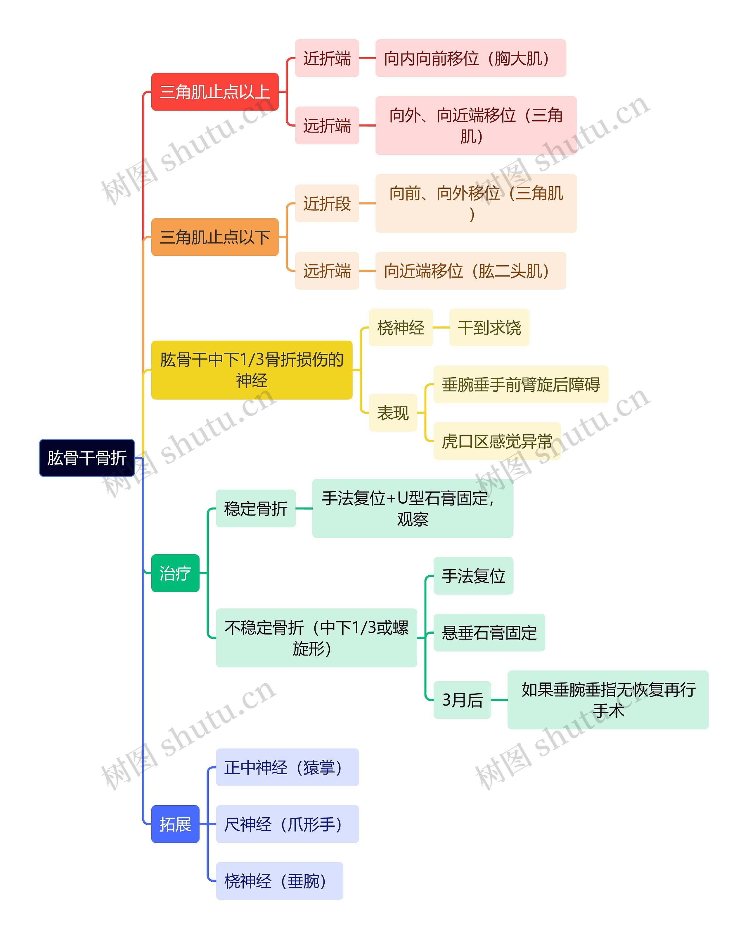 骨学知识肱骨干骨折思维导图