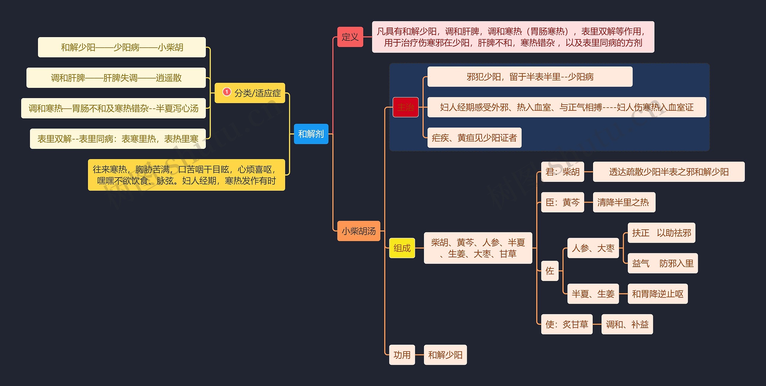 医学知识和解剂思维导图