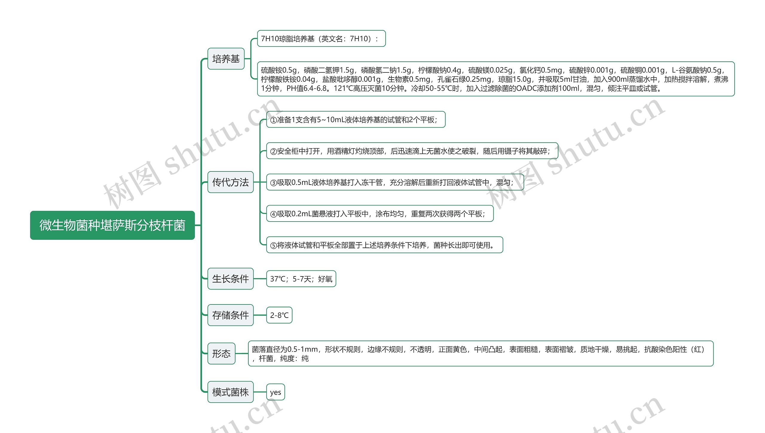 微生物菌种堪萨斯分枝杆菌思维导图