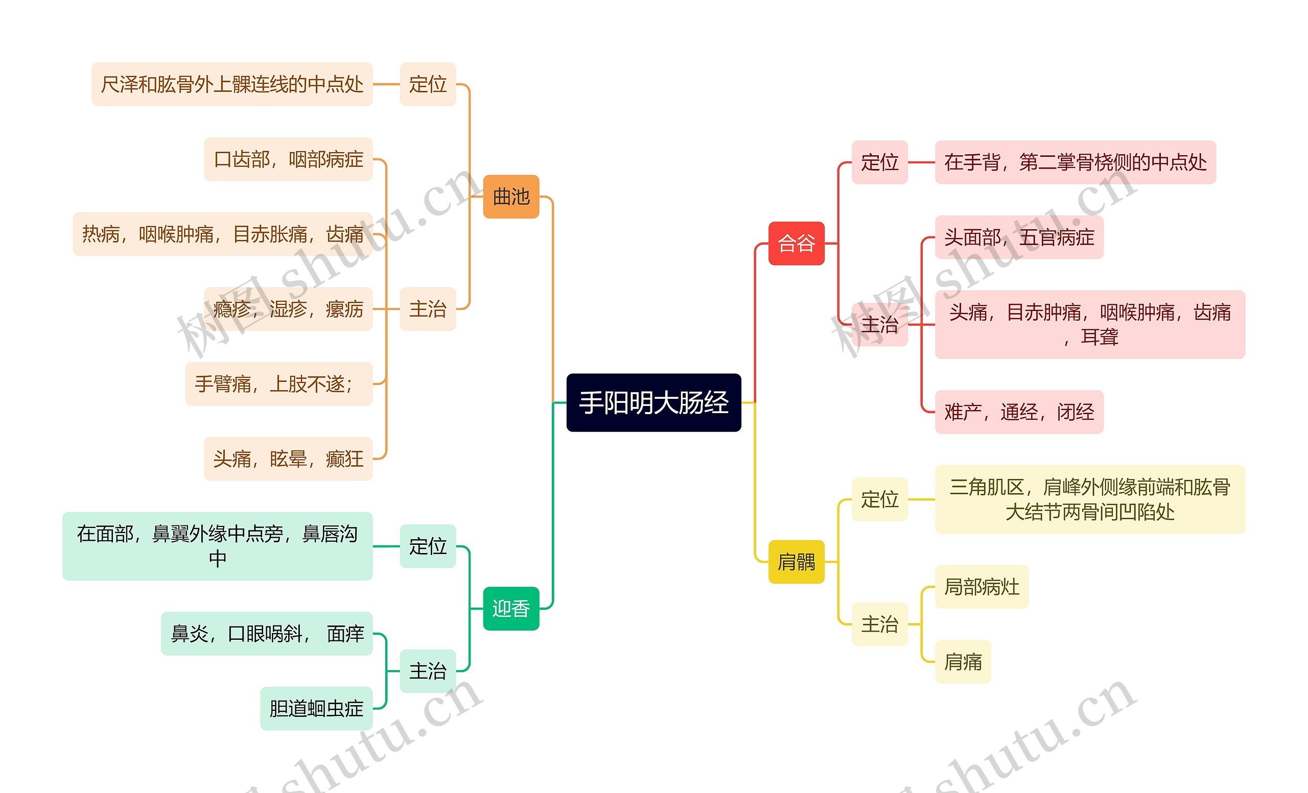 中医知识手阳明大肠经思维导图