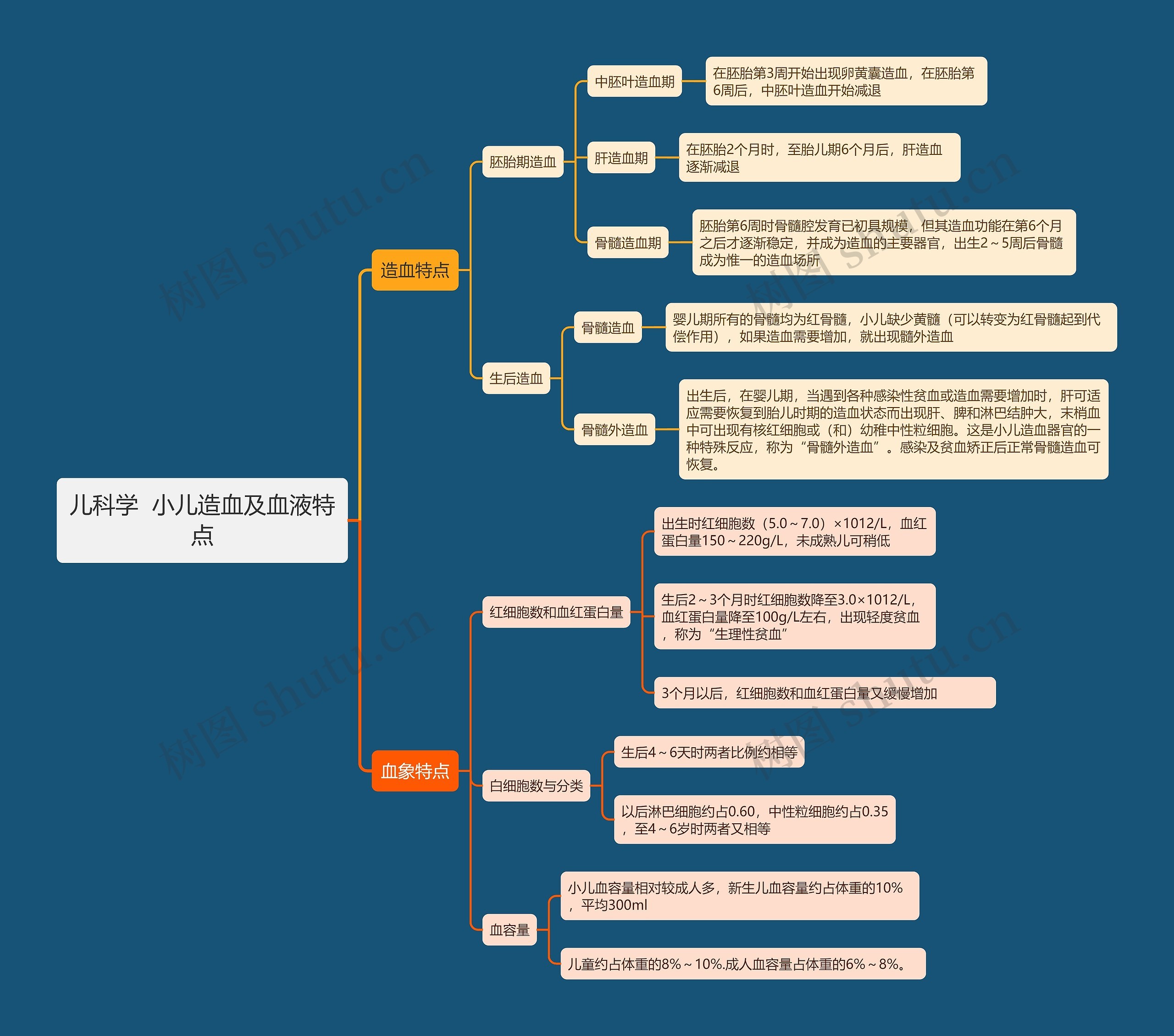 儿科学  小儿造血及血液特点思维导图