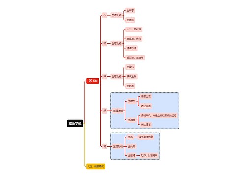 医学知识藏象学说五脏思维导图