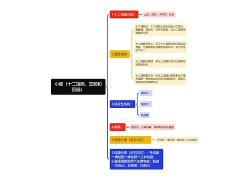 小肠思维导图