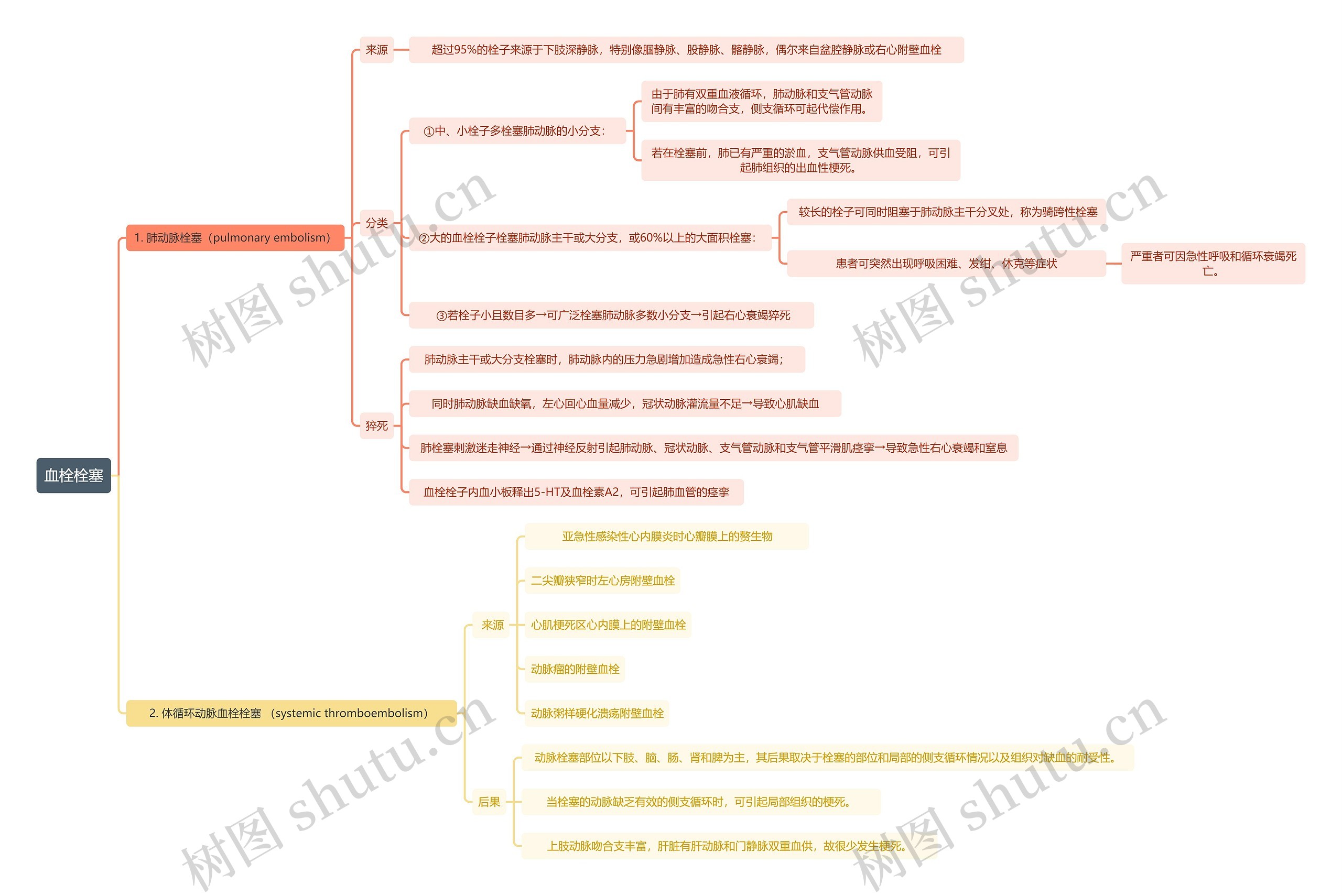 血栓栓塞思维导图