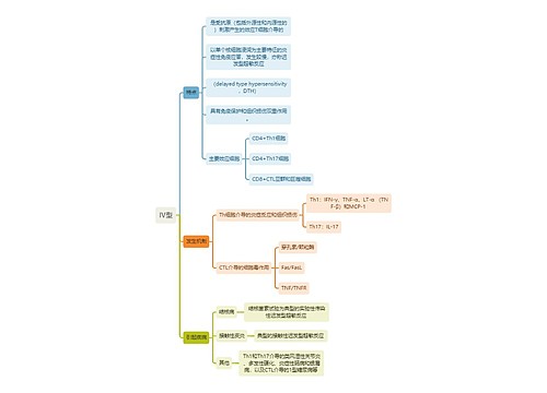 医学知识IV型思维导图