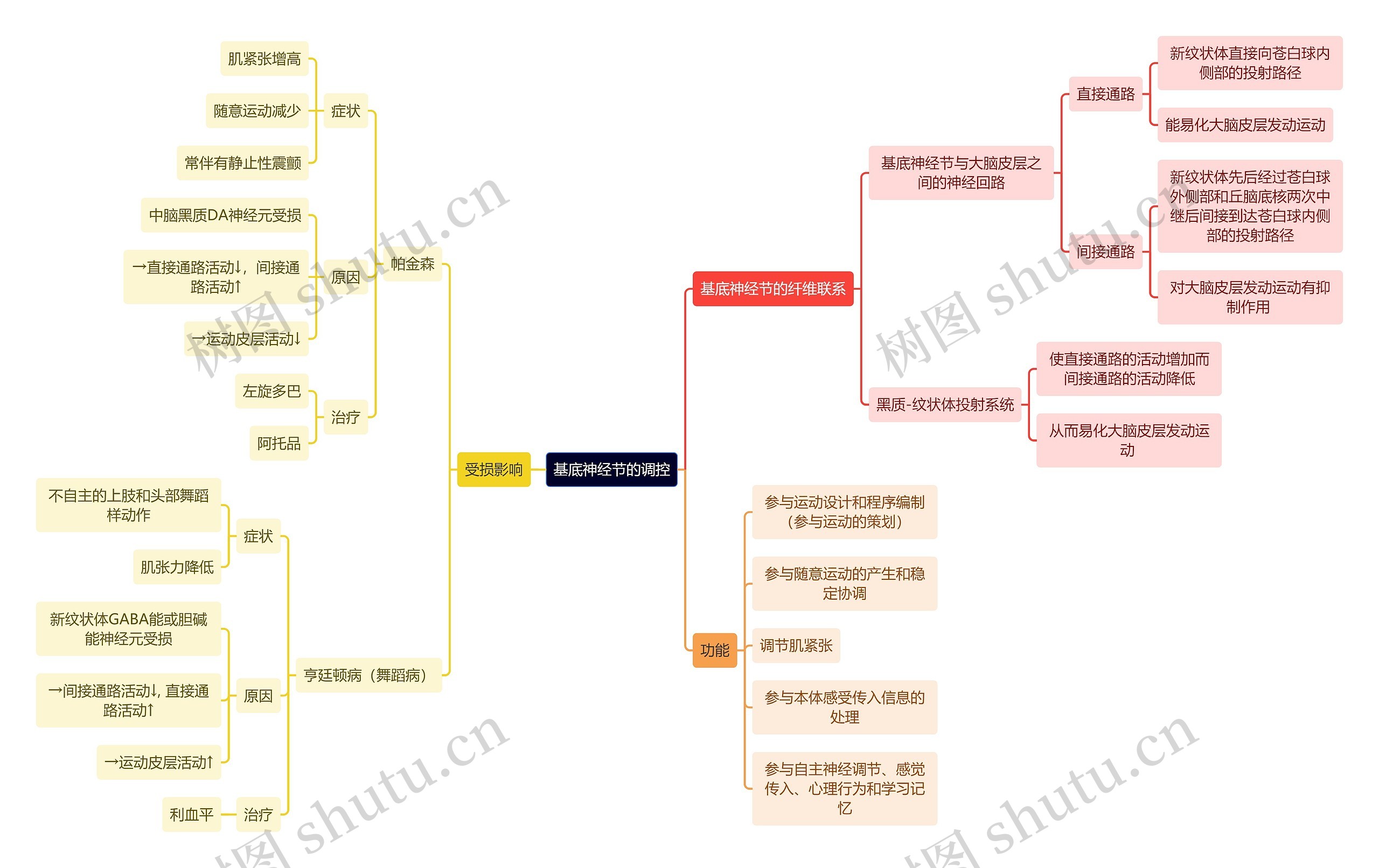 医学知识基底神经节的调控思维导图