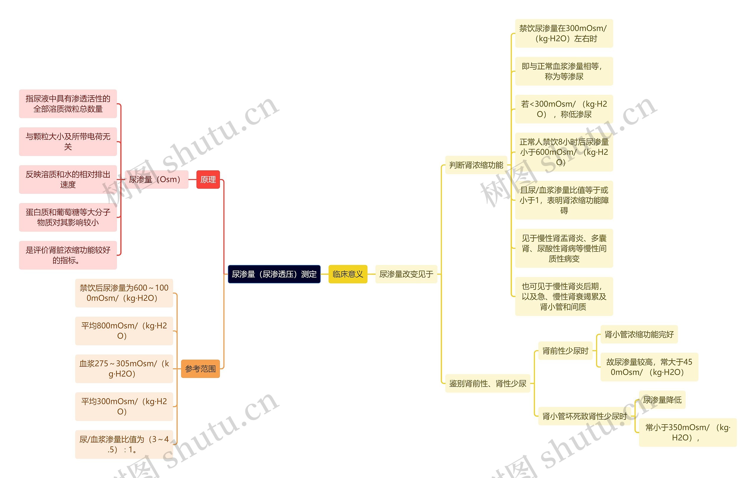 医学知识尿渗量（尿渗透压）测定思维导图