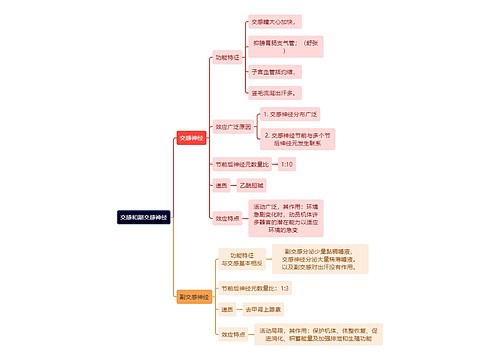 医学知识交感和副交感神经思维导图