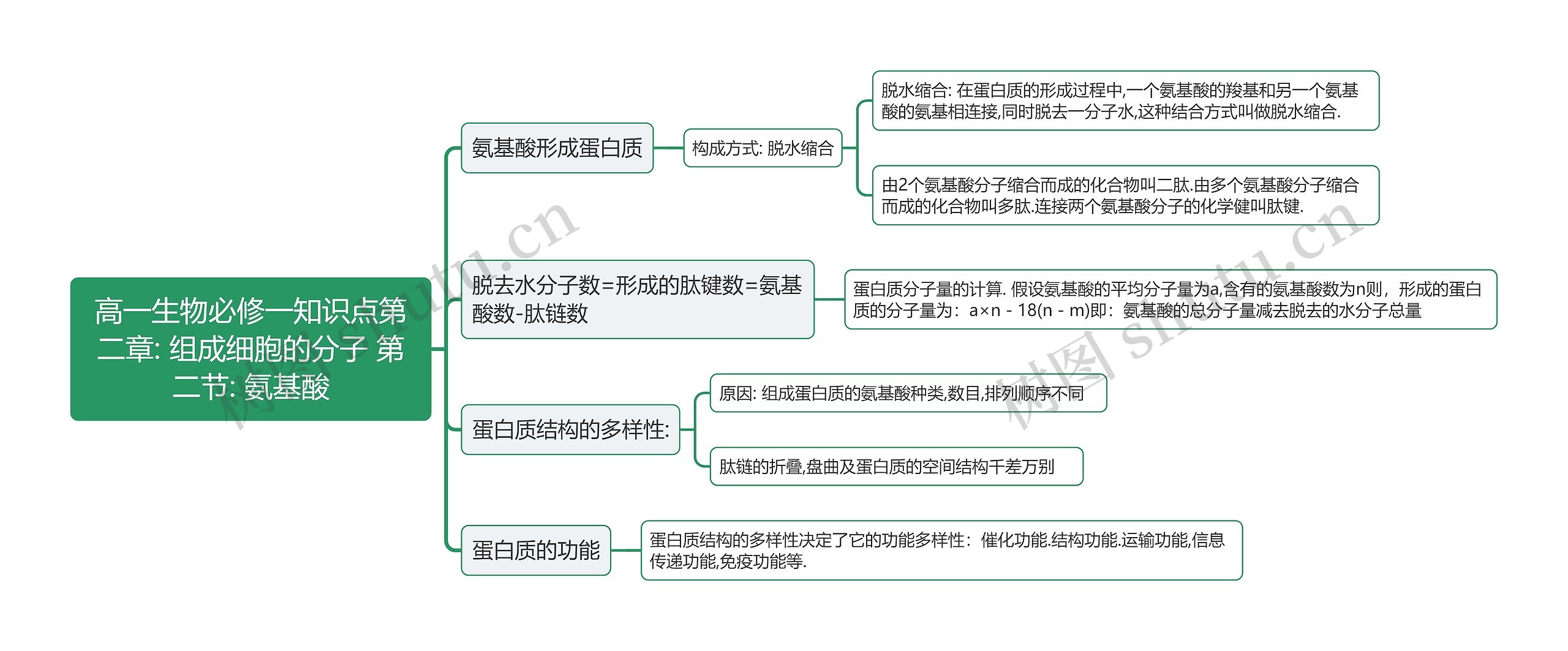 高一生物必修一知识点第二章: 组成细胞的分子 第二节: 氨基酸