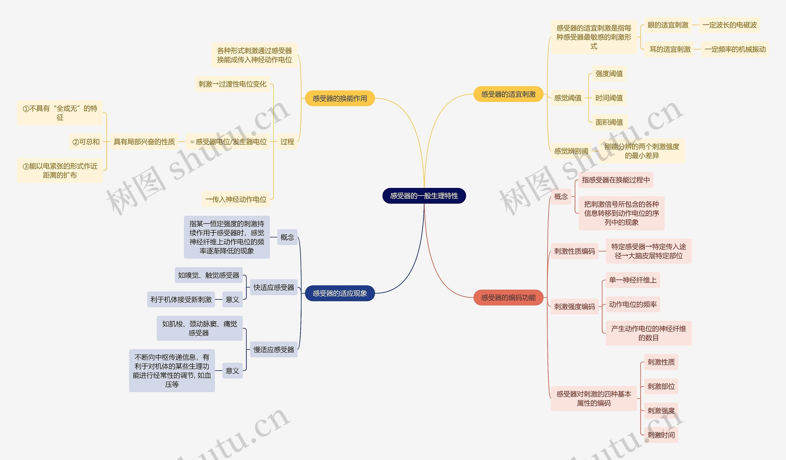 医学知识感受器的一般生理特性思维导图