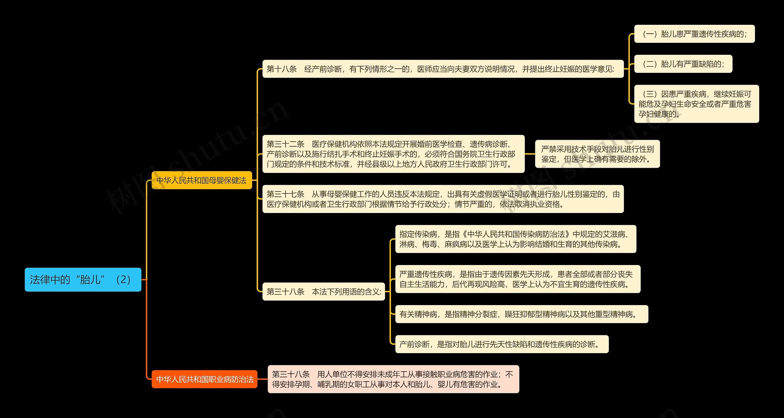 《法律中的“胎儿”（2）》思维导图