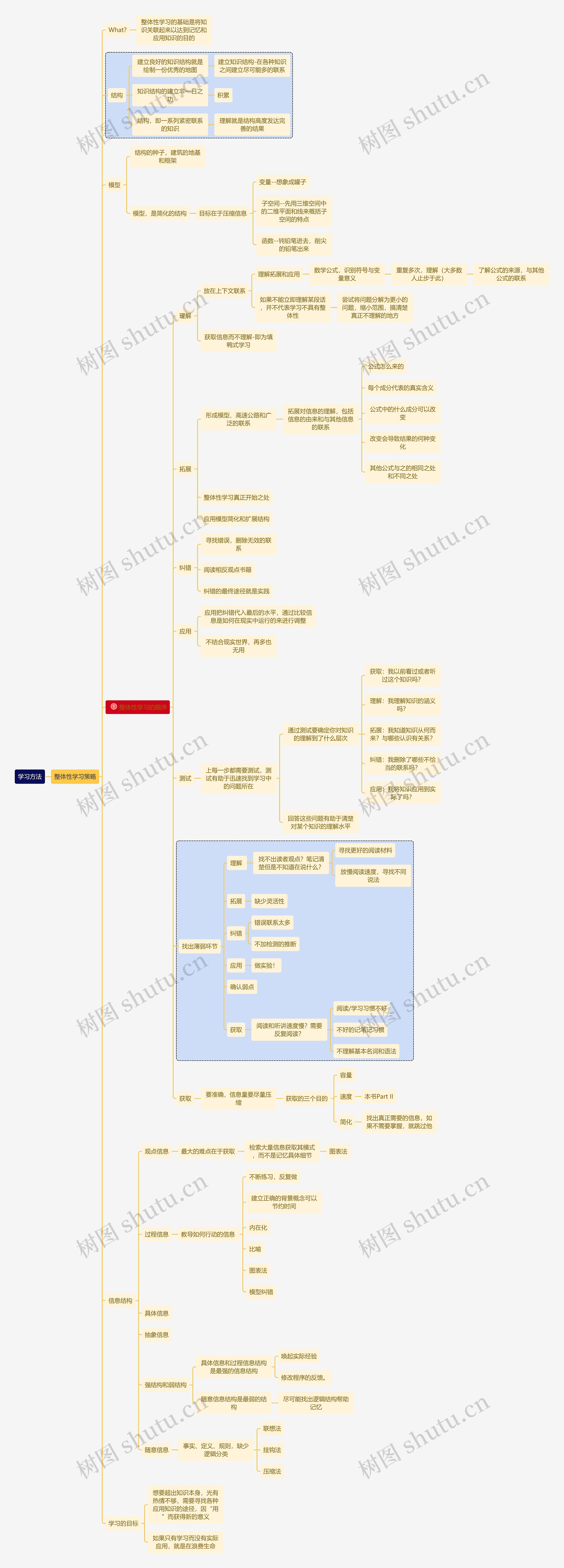 整体性学习策略思维导图