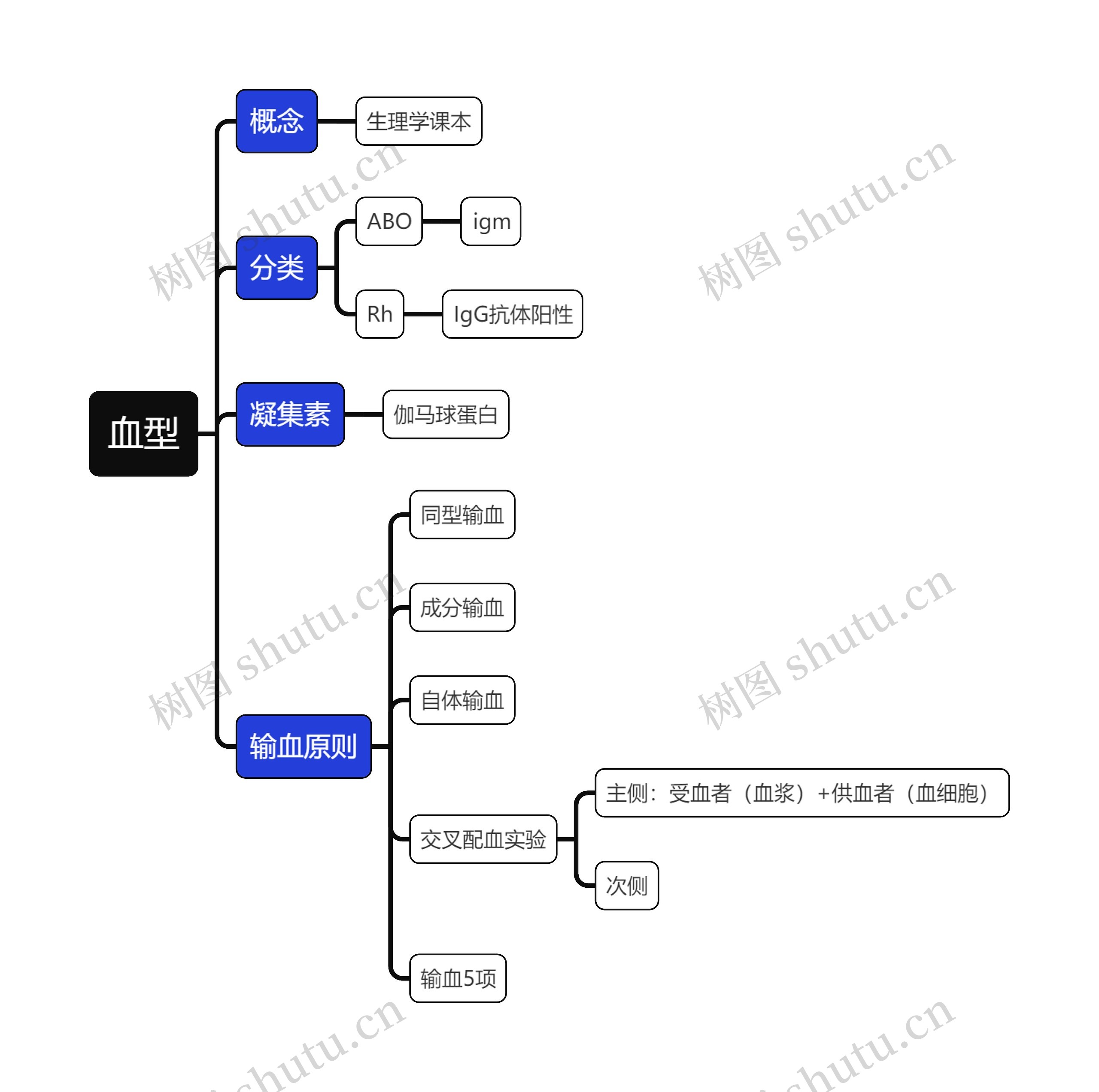 医学知识血型思维导图