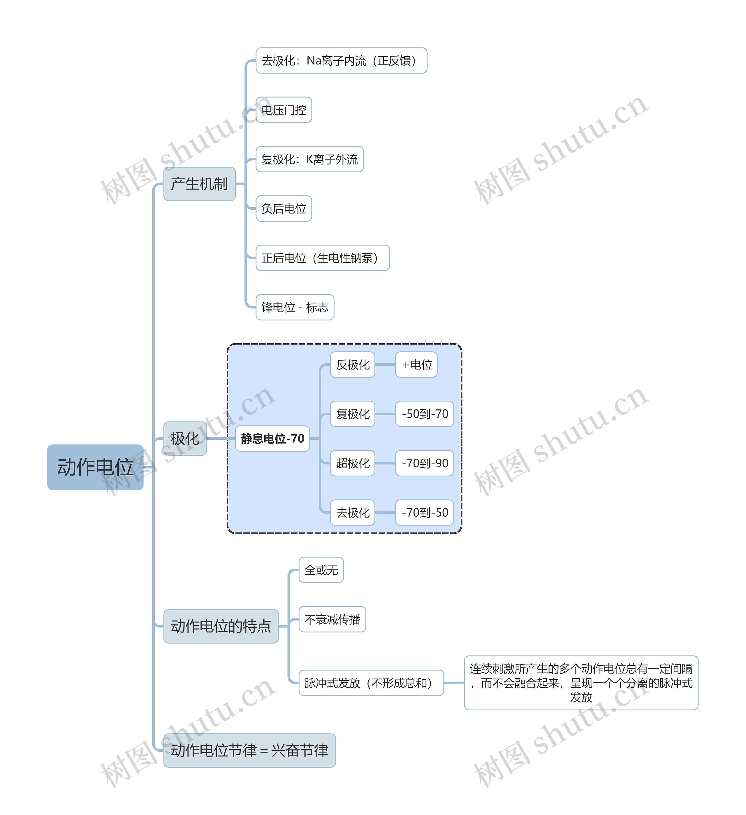 医学知识动作电位思维导图