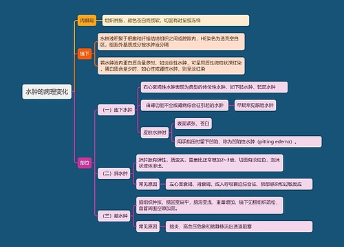 水肿的病理变化思维导图