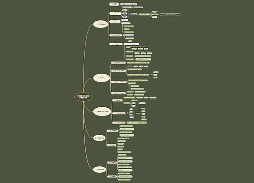 XX中医院可持续发展战略工作计划