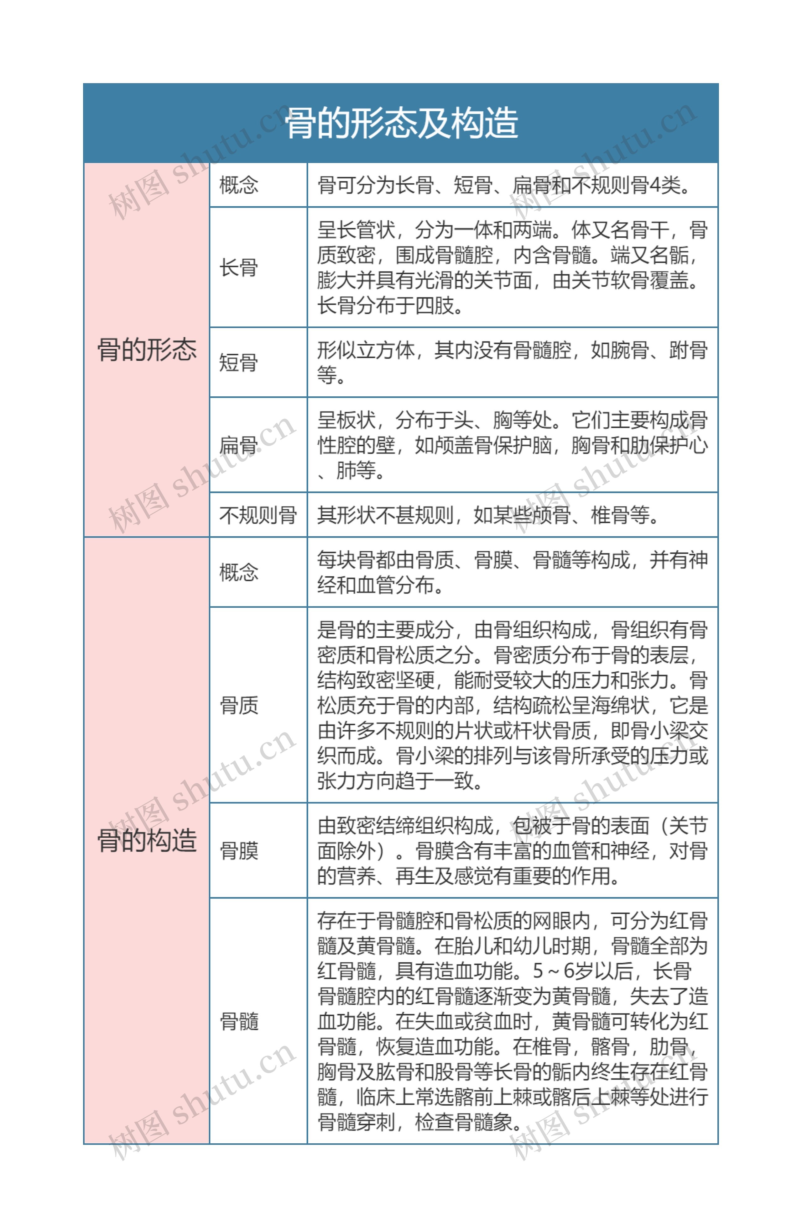 骨学  骨的形态及构造思维导图