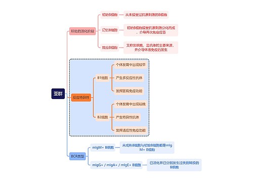 医学知识亚群思维导图