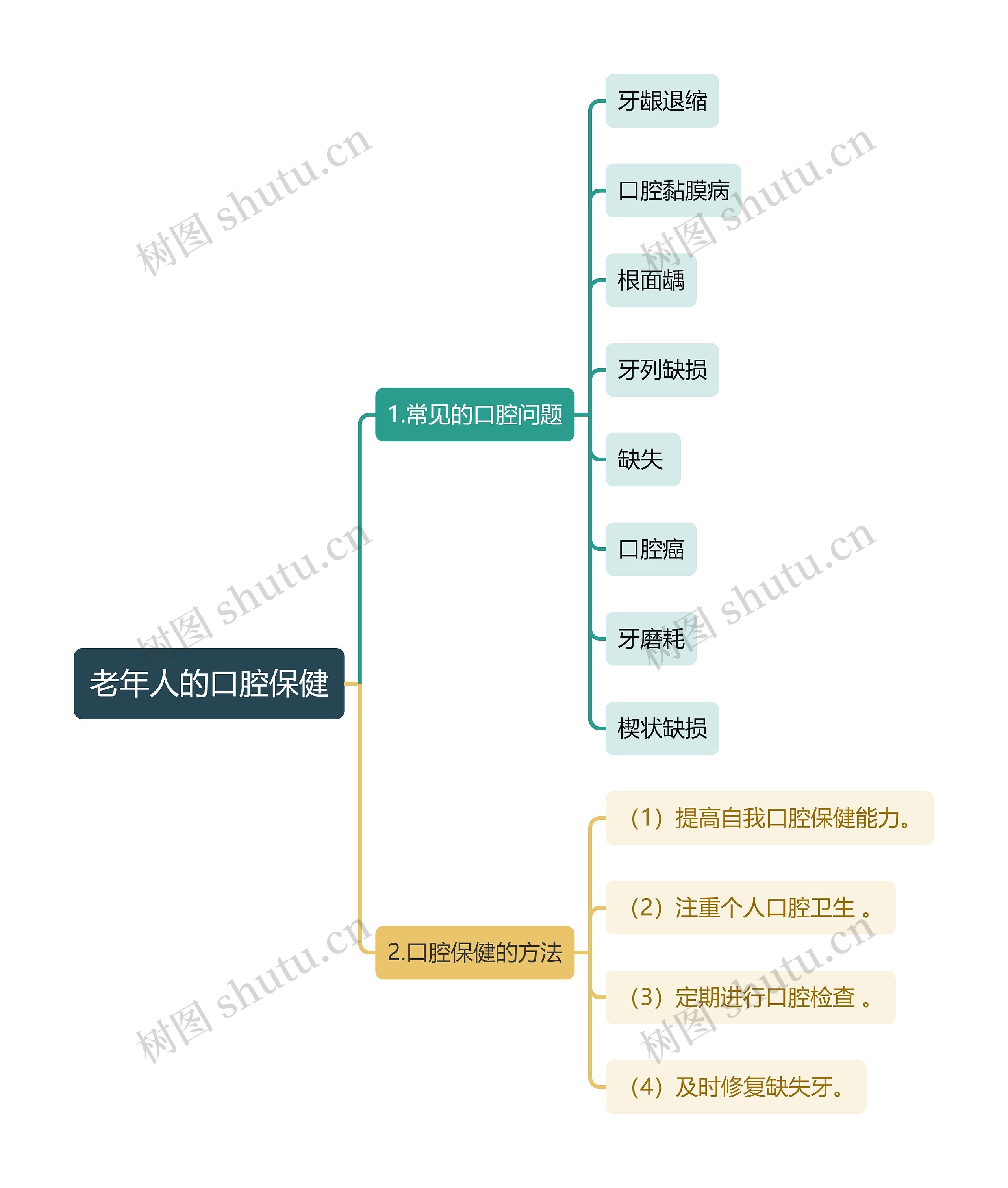 医学知识老年人的口腔保健思维导图