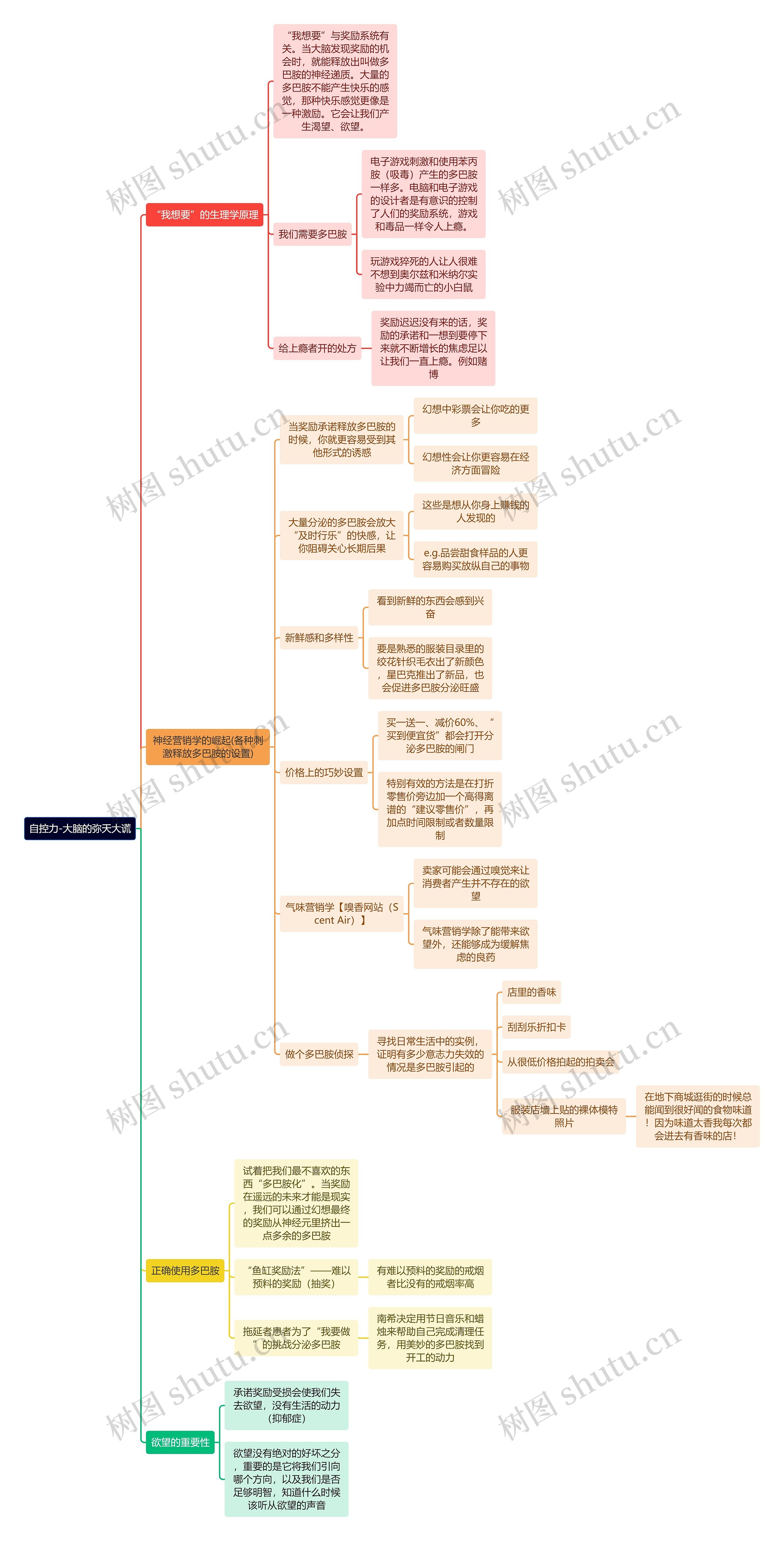 自控力-大脑的弥天大谎思维导图