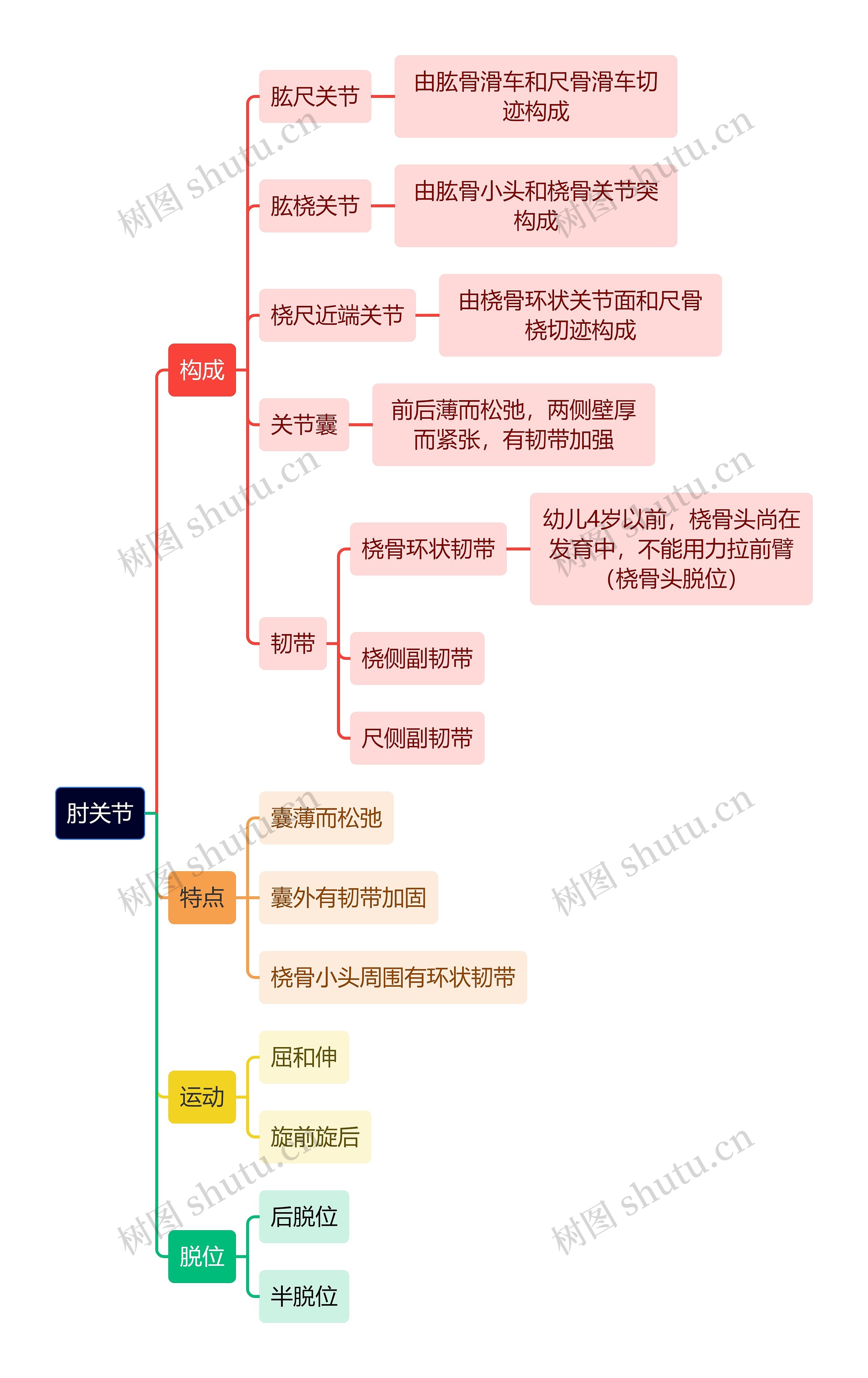 解剖学知识肘关节思维导图