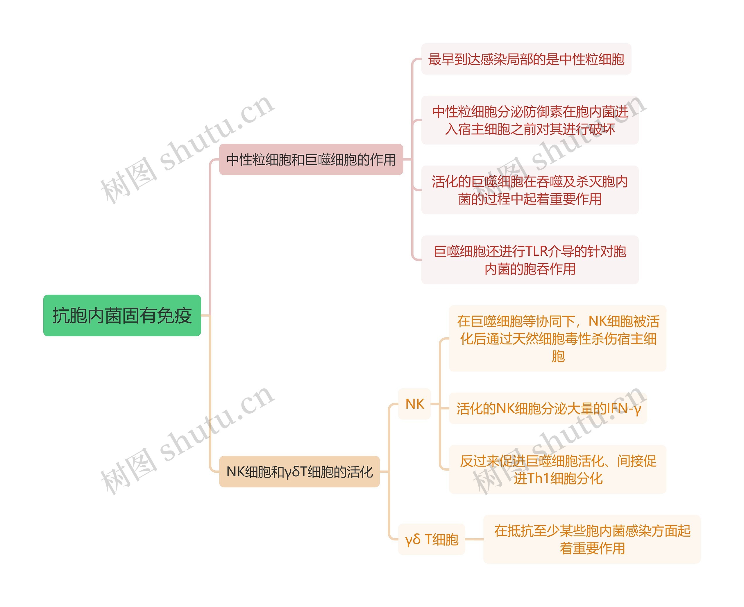 医学知识抗胞内菌固有免疫思维导图