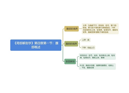 《局部解剖学》第四章第一节：腹部概述