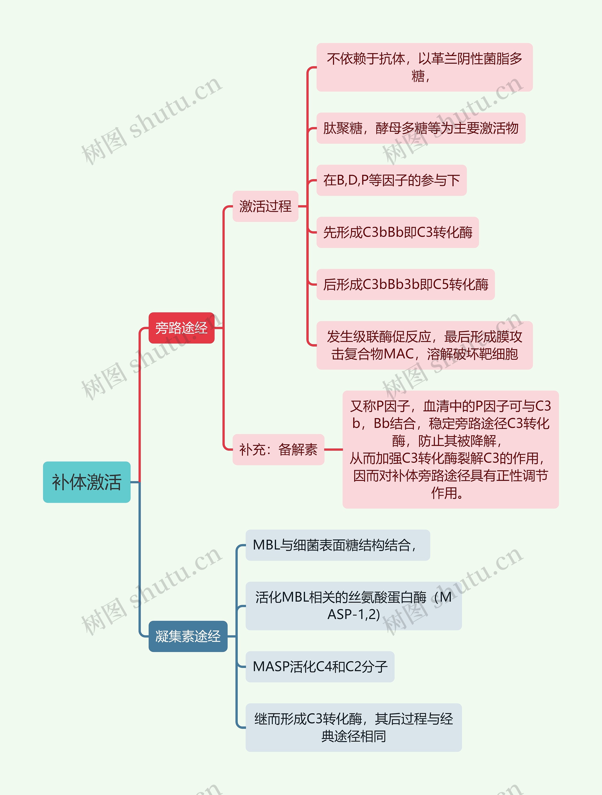 医学知识补体激活思维导图