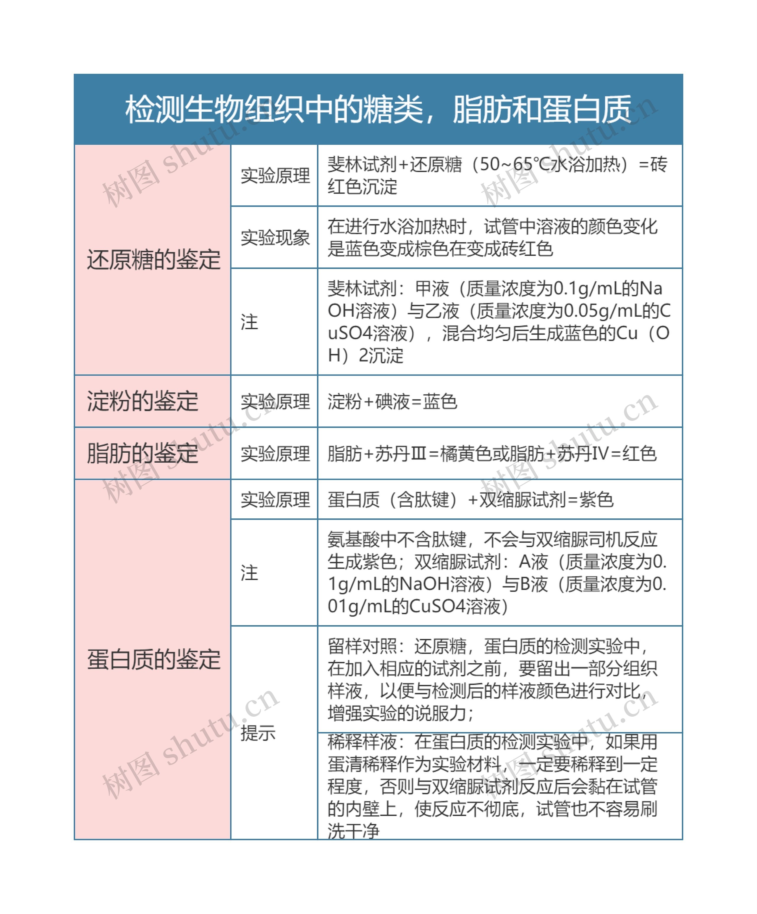 高中生物必修一检测生物组织中的糖类，脂肪和蛋白质思维导图