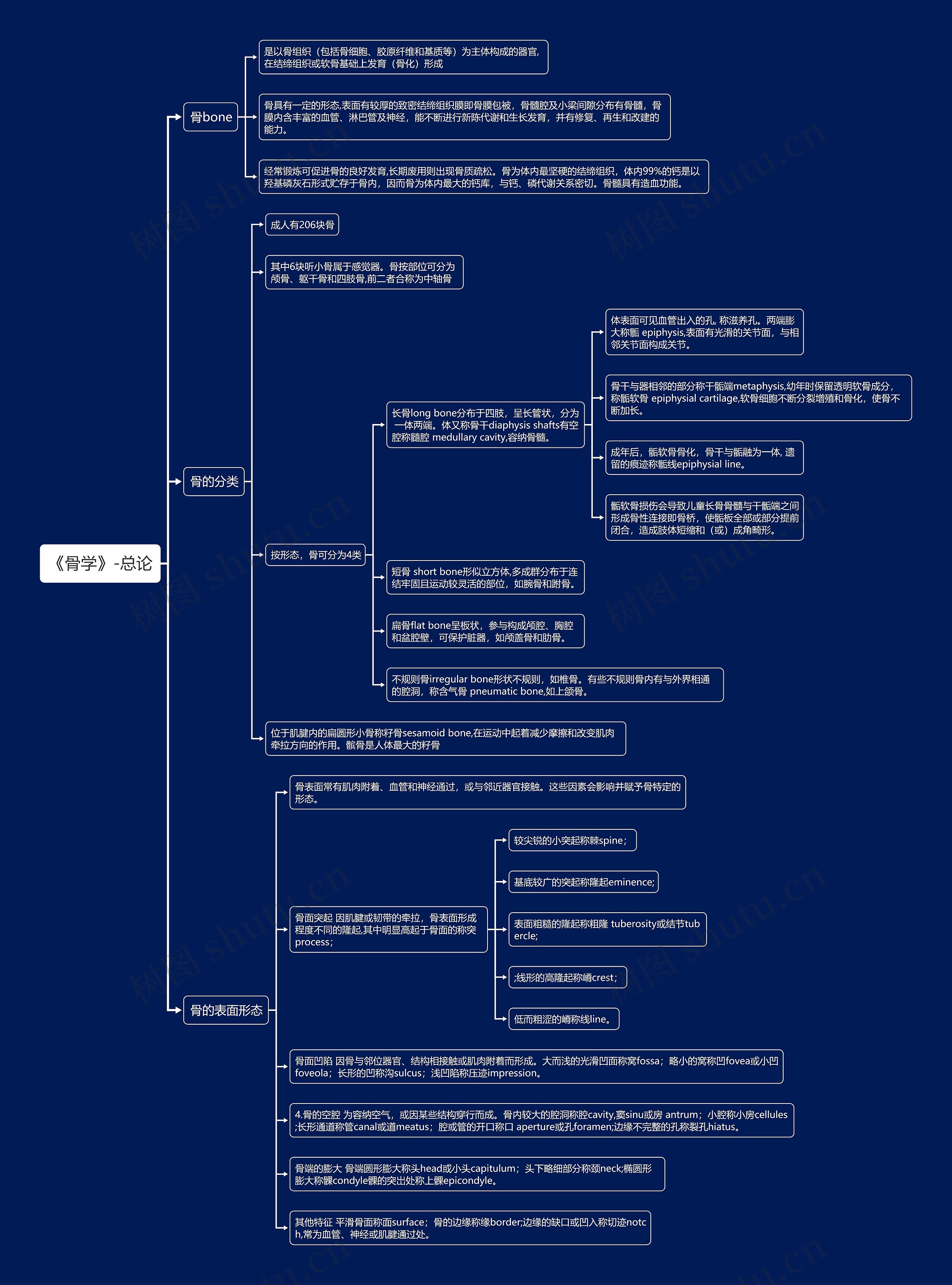 《骨学》-总论思维导图