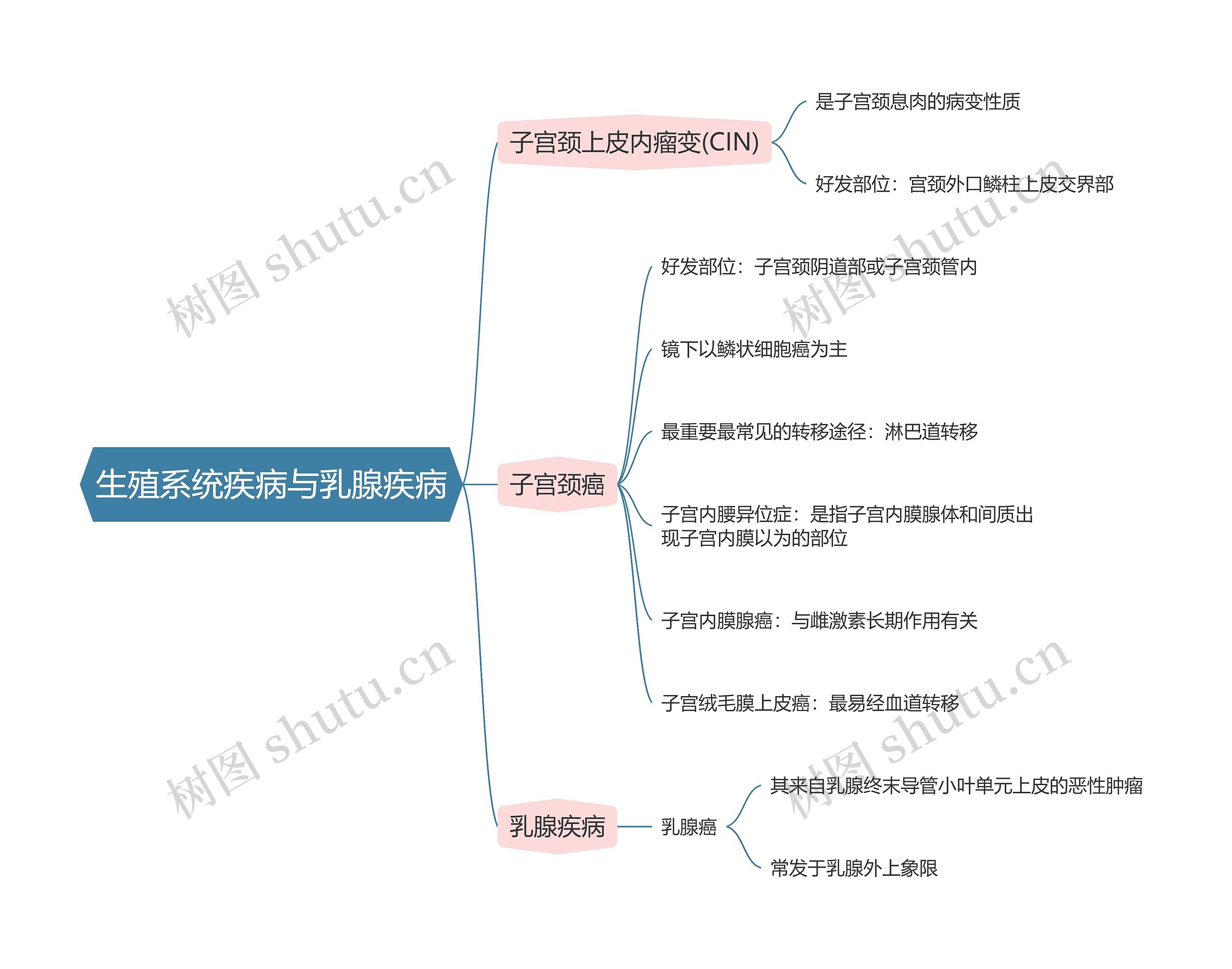 病理学  生殖系统疾病与乳腺疾病思维导图