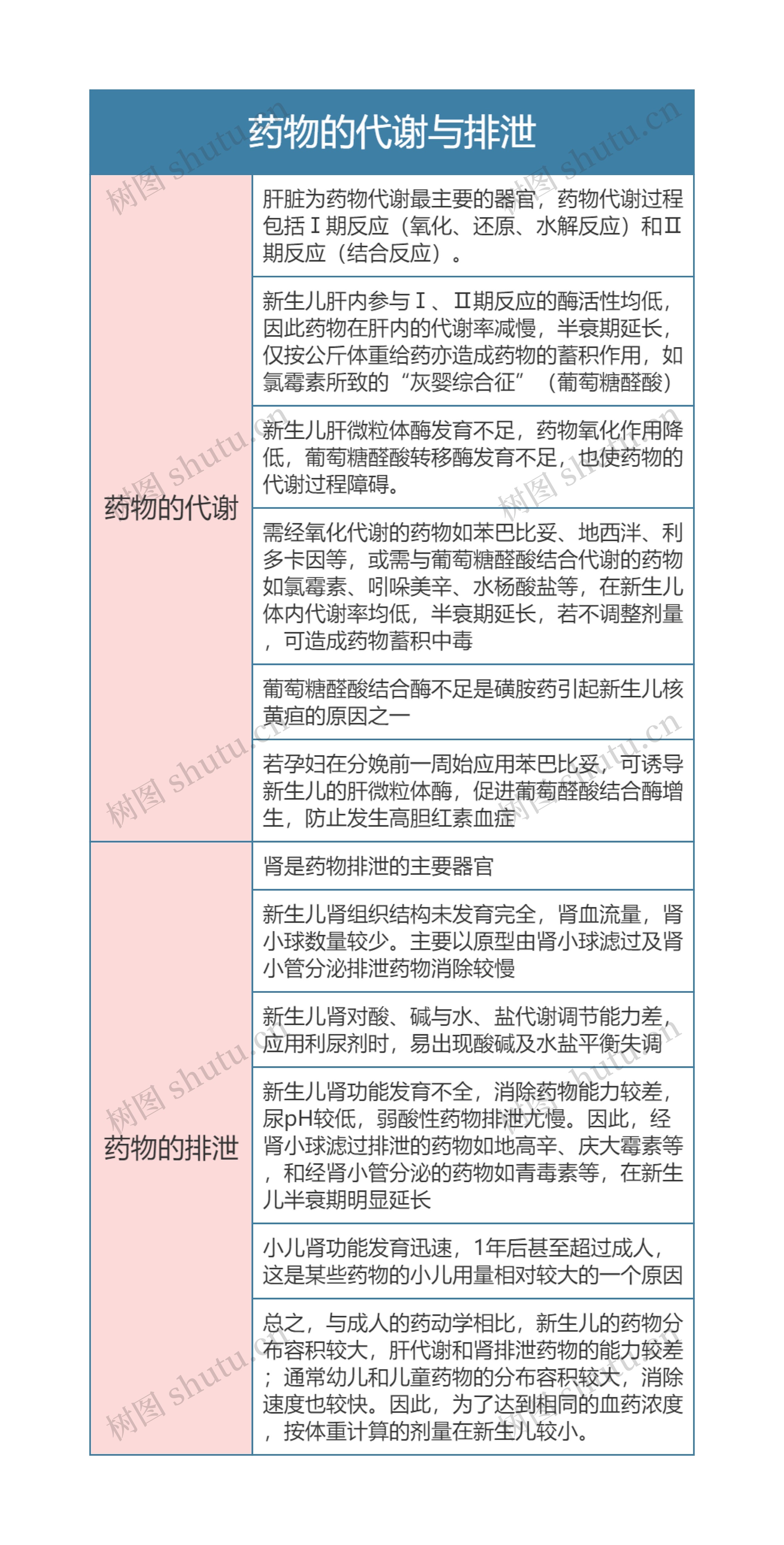 药理学  药物的代谢与排泄思维导图