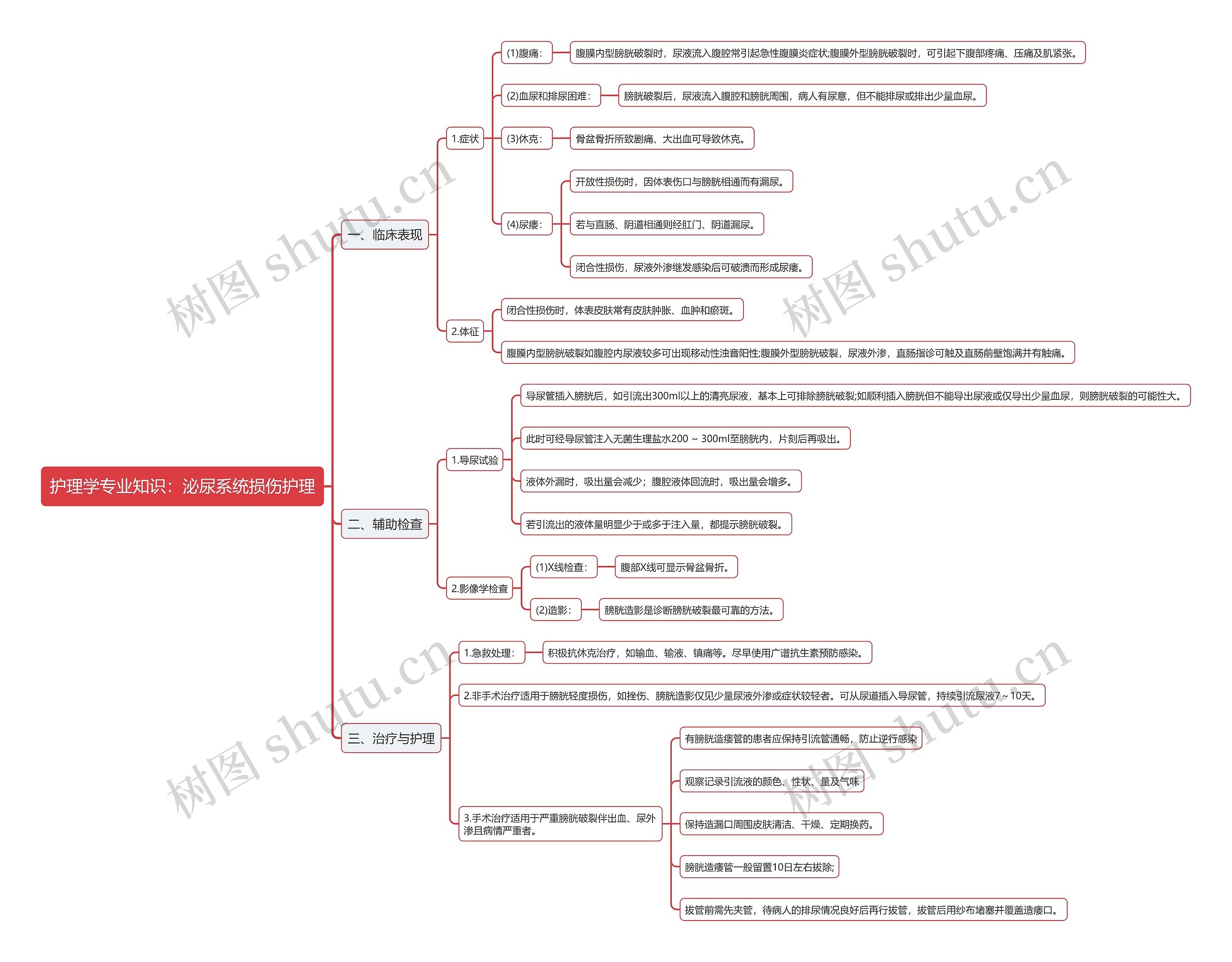护理学专业知识：泌尿系统损伤护理思维导图