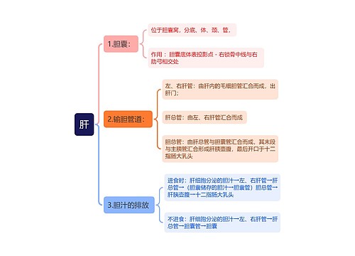 肝思维导图