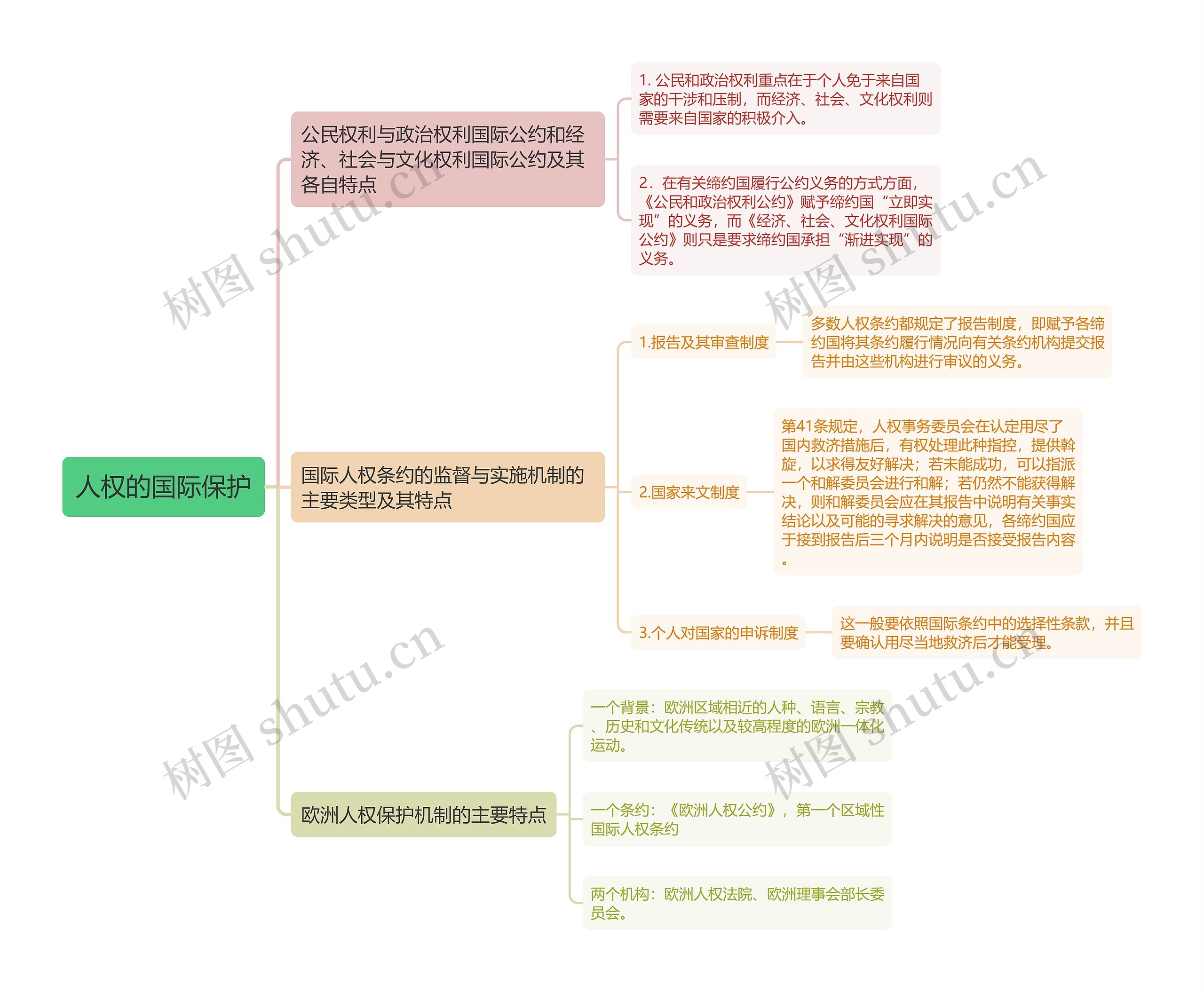 人权的国际保护思维导图