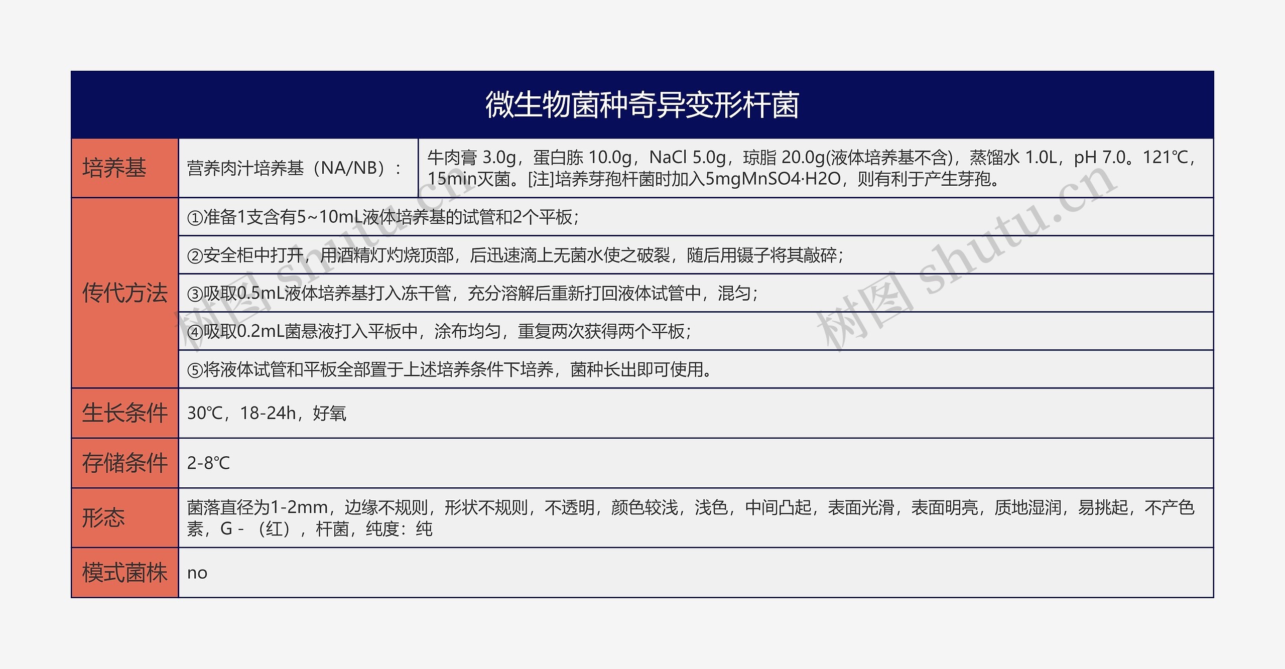 微生物菌种奇异变形杆菌思维导图