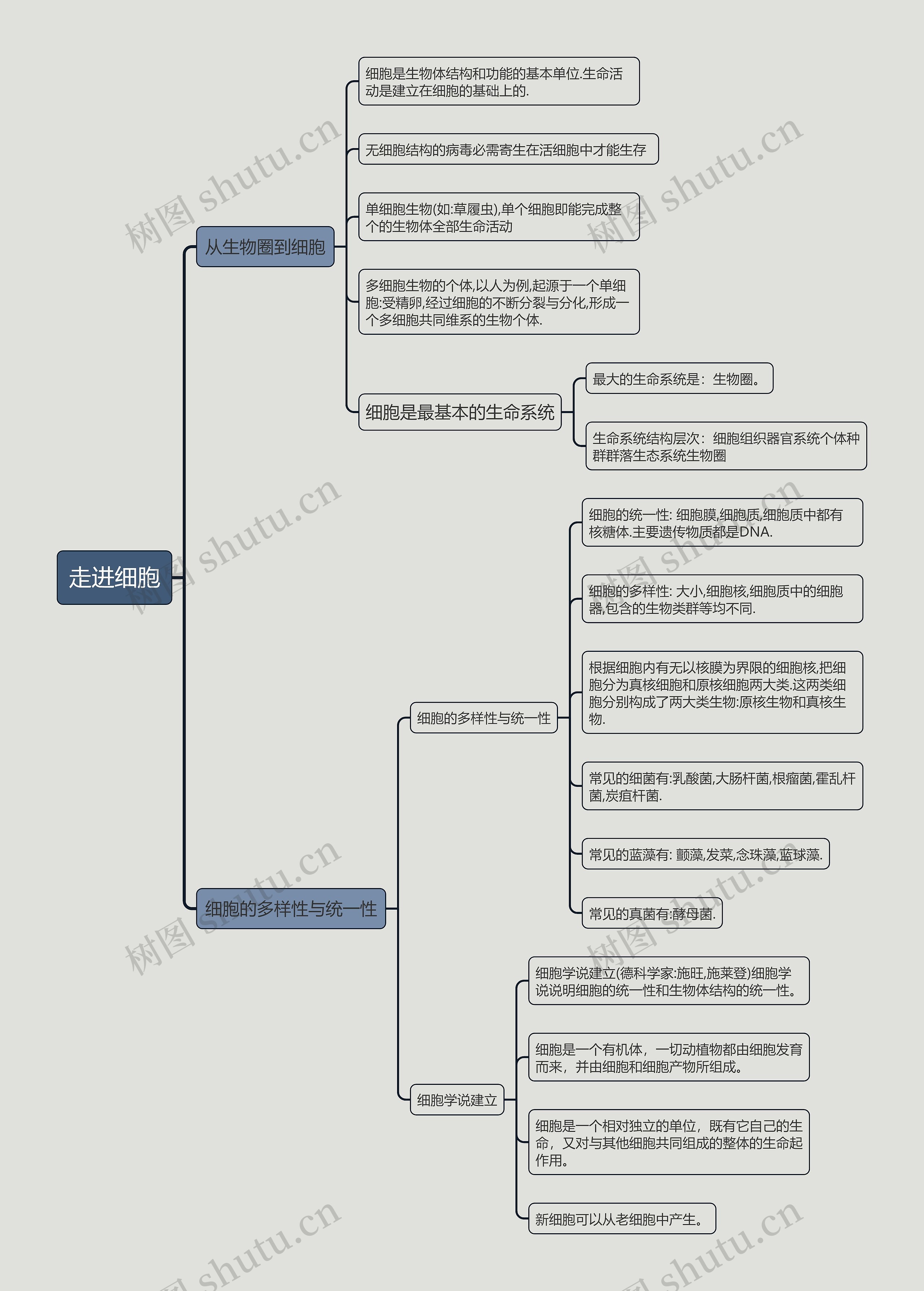 走进细胞的思维导图