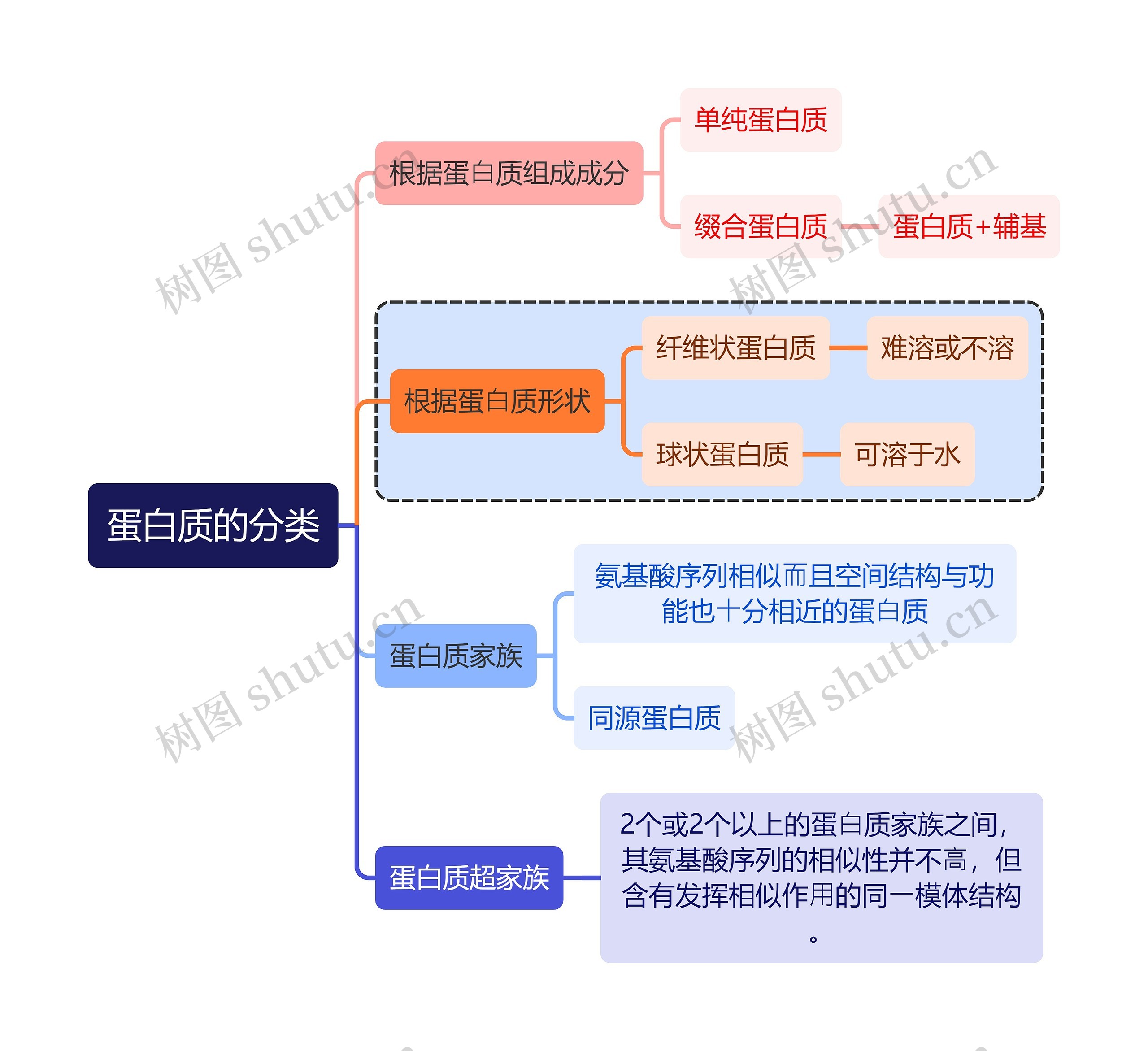 医学知识蛋白质的分类思维导图